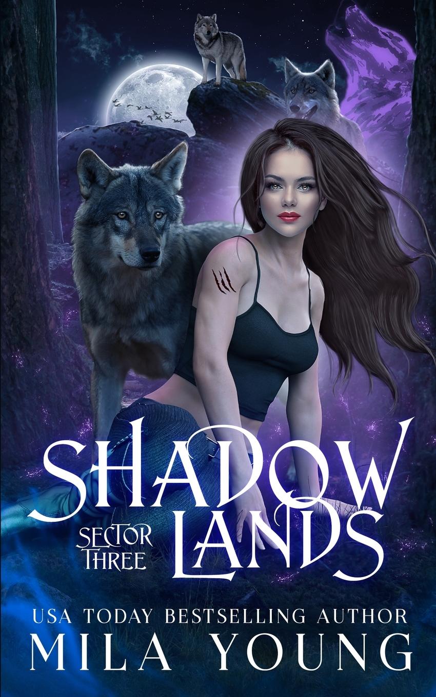 Vorderes Coverbild Shadowlands Sector Three