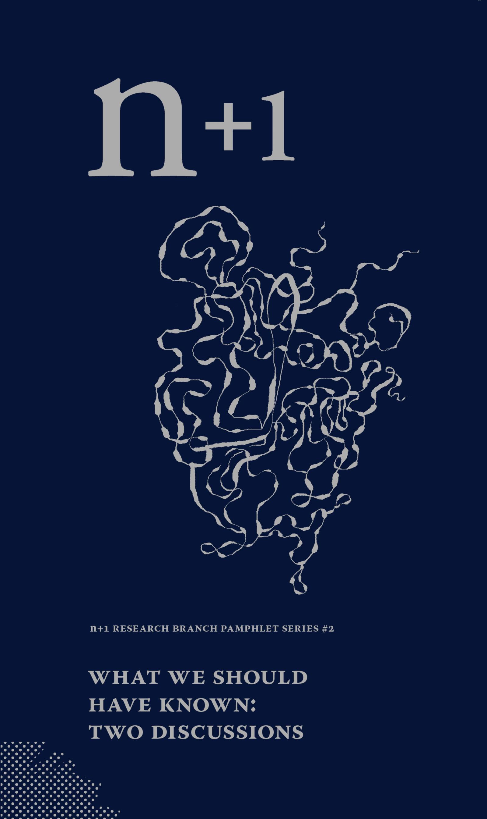 Vorderes Coverbild What We Should Have Known