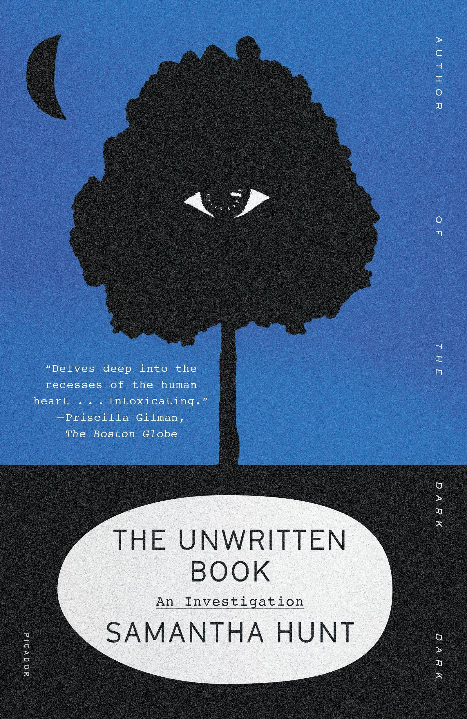 Vorderes Coverbild Unwritten Book