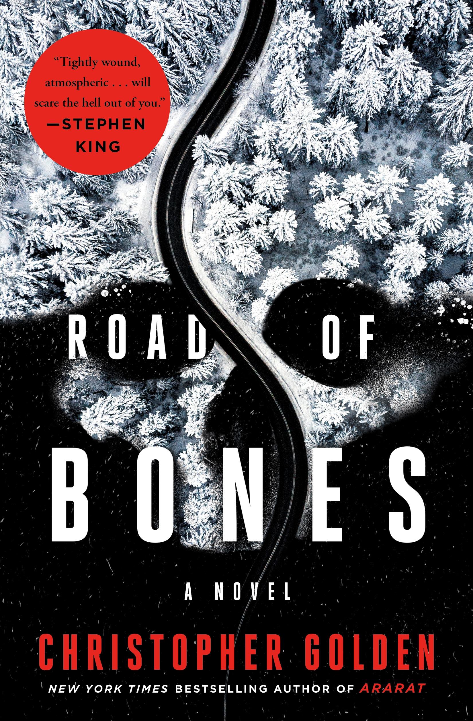 Vorderes Coverbild Road of Bones