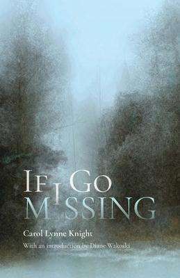 Vorderes Coverbild If I Go Missing