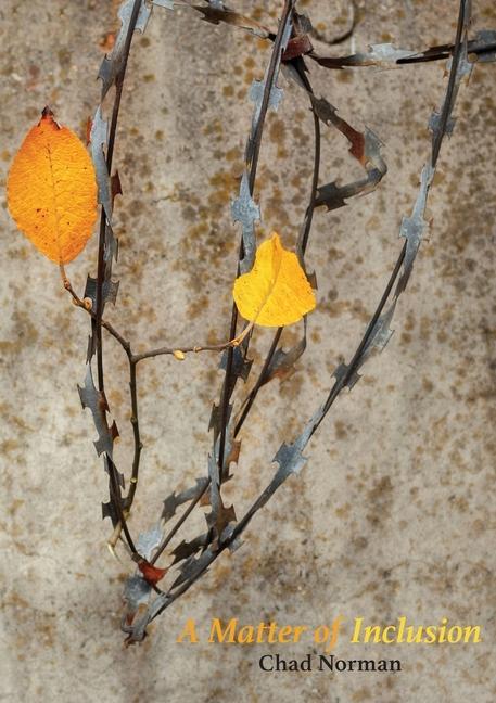 Vorderes Coverbild A Matter of Inclusion