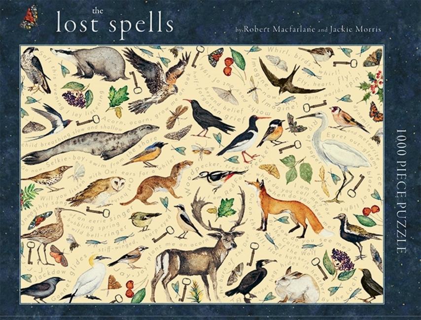 Vorderes Coverbild The Lost Spells 1000 Piece Jigsaw Puzzle