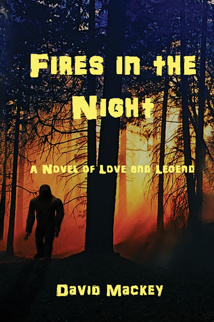 Vorderes Coverbild Fires in the Night