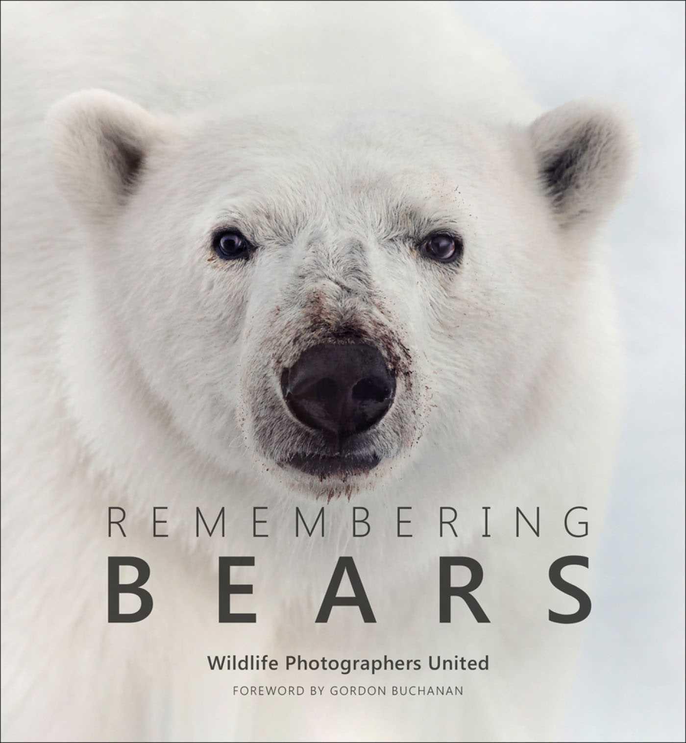 Vorderes Coverbild Remembering Bears