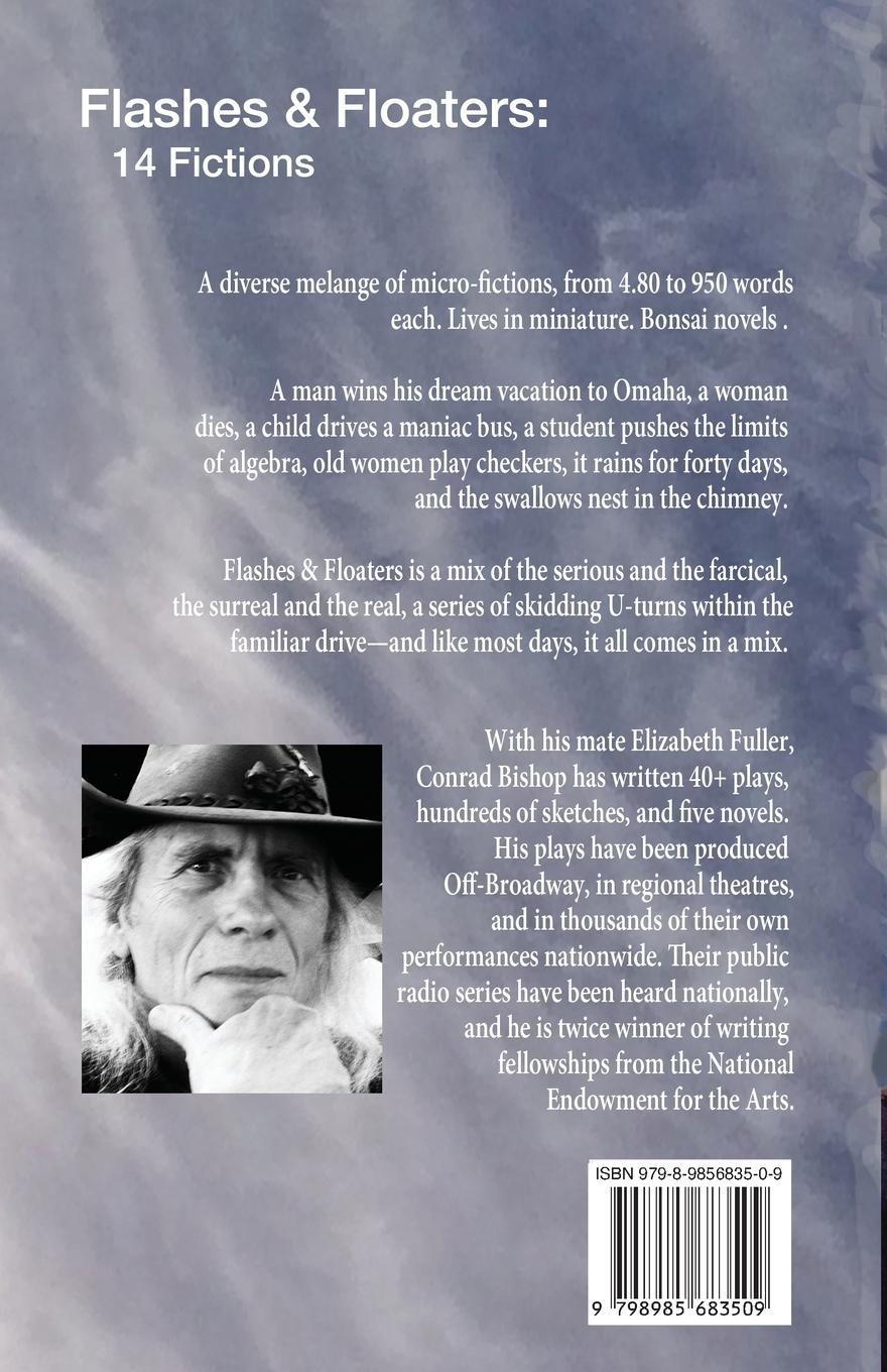 Rückseitencover Flashes & Floaters