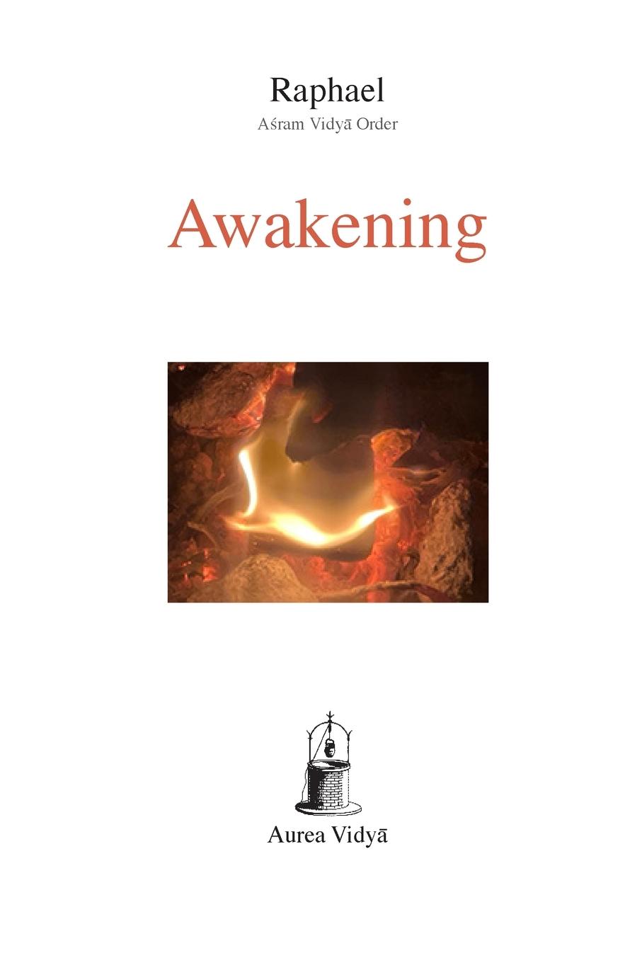 Vorderes Coverbild Awakening