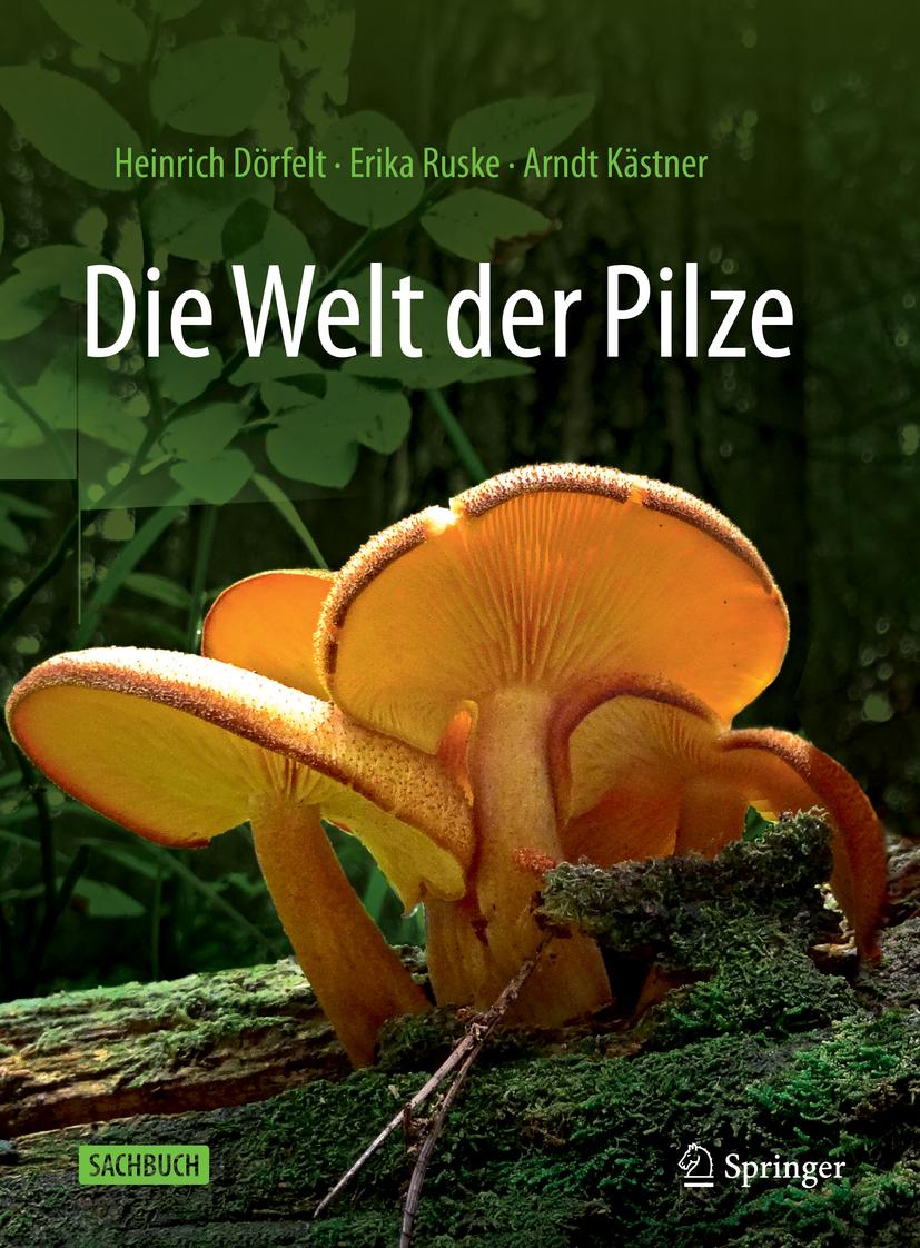 Vorderes Coverbild Die Welt der Pilze