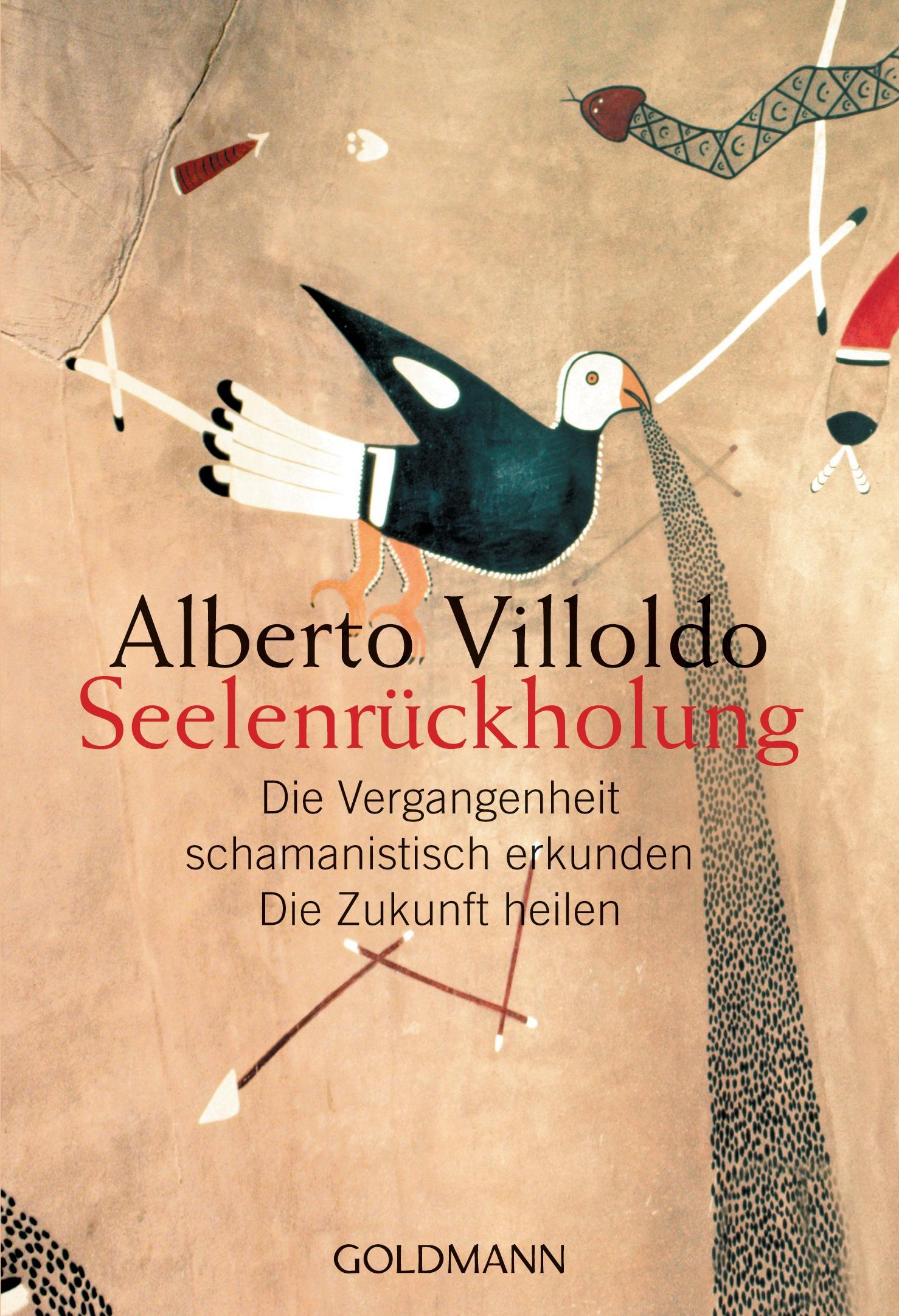 Vorderes Coverbild Seelenrückholung