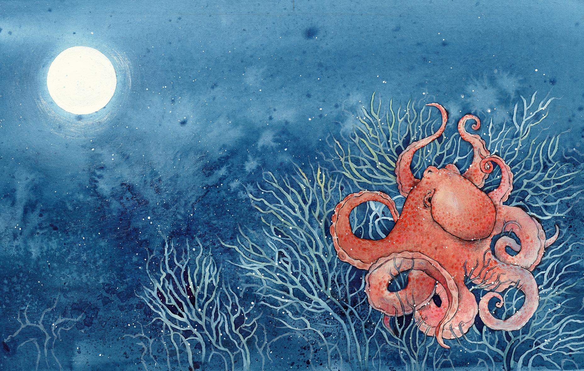 Beispielinhalt (Bild) Wer träumt im großen Ozean?