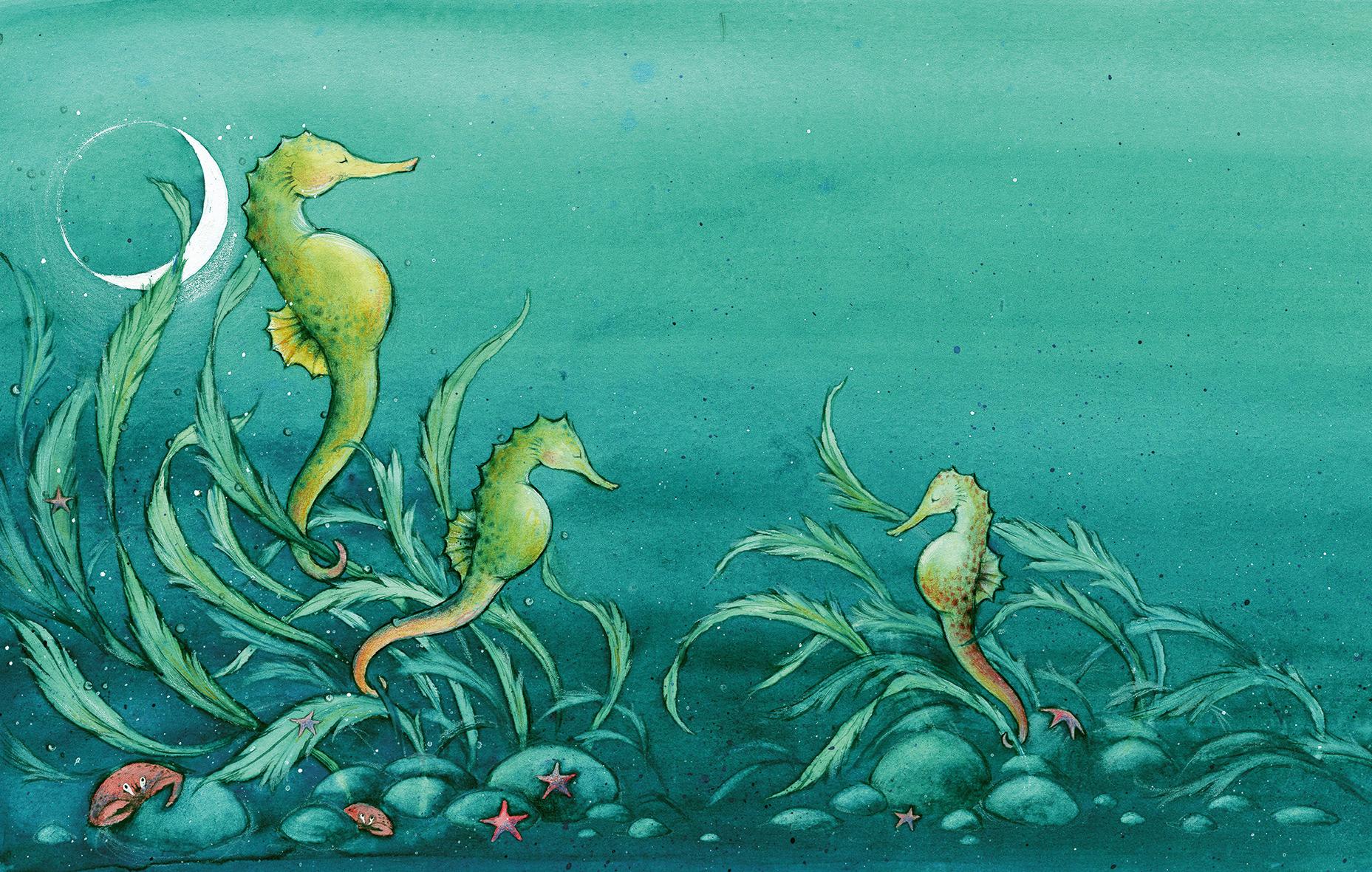 Beispielinhalt (Bild) Wer träumt im großen Ozean?