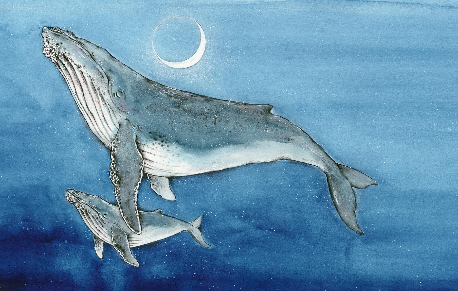 Beispielinhalt (Bild) Wer träumt im großen Ozean?