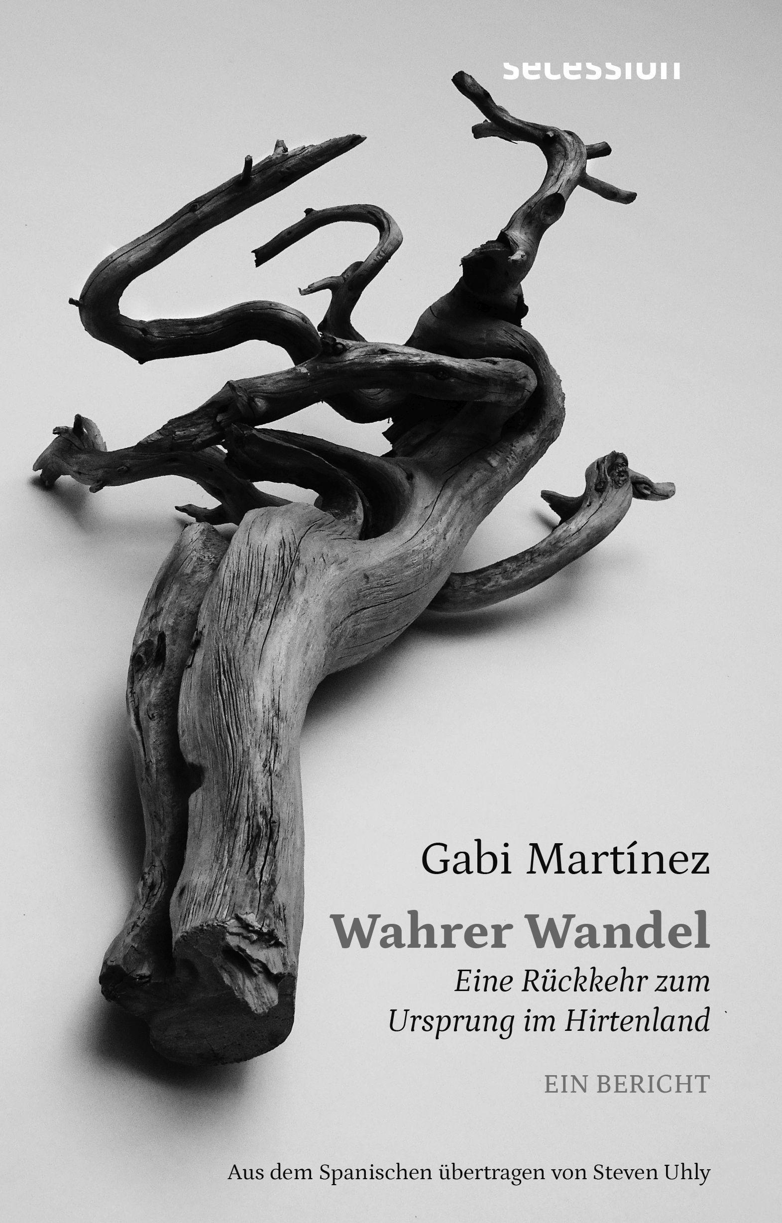 Vorderes Coverbild Wahrer Wandel