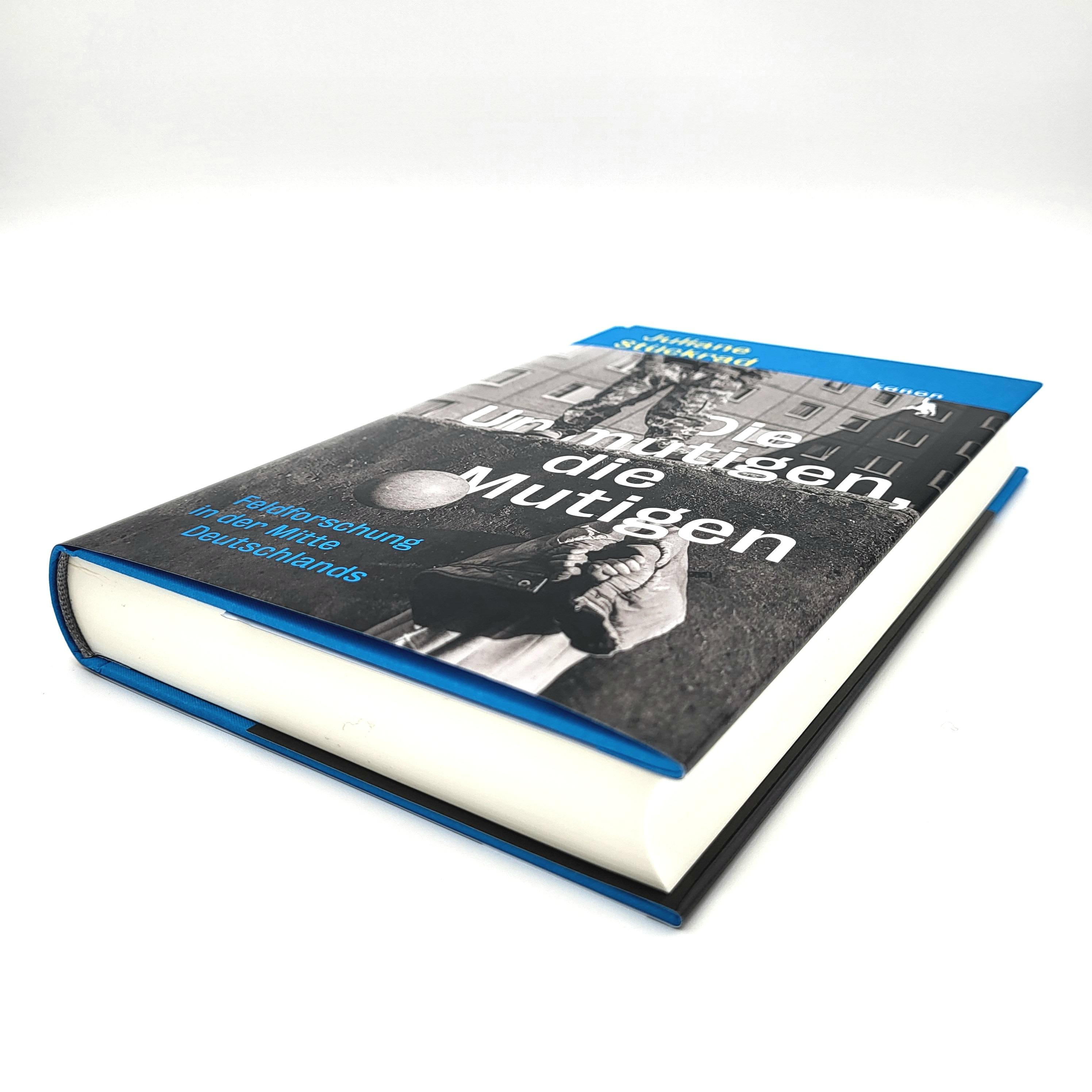 Beispielinhalt (Bild) Die Unmutigen, die Mutigen