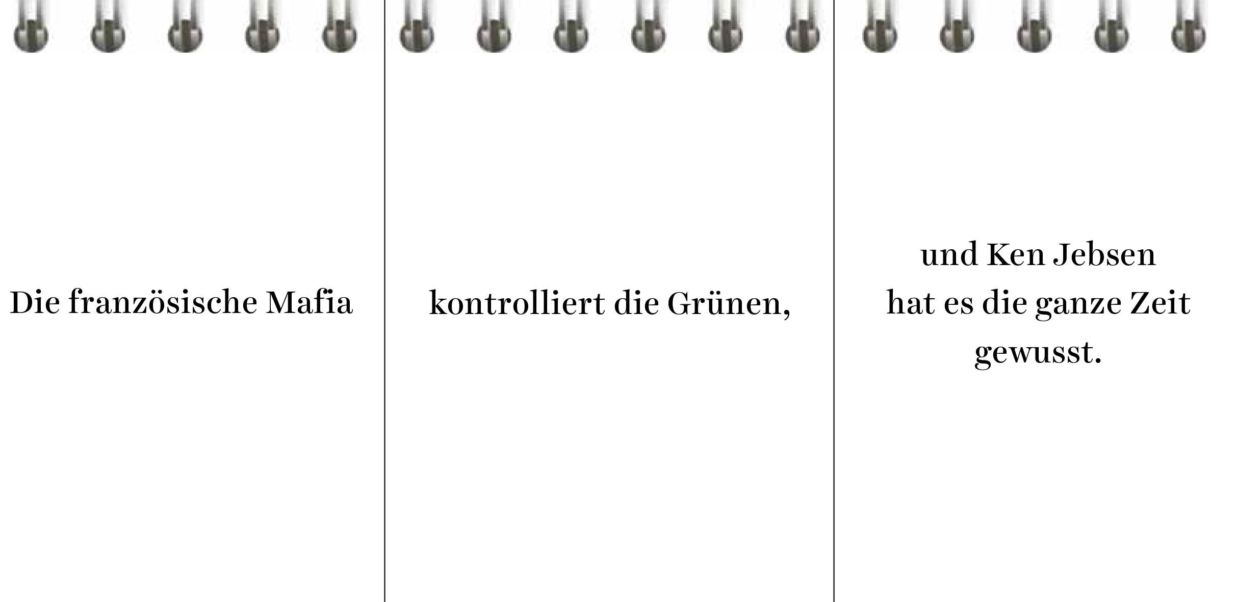 Beispielinhalt (Bild) Der Desinformator