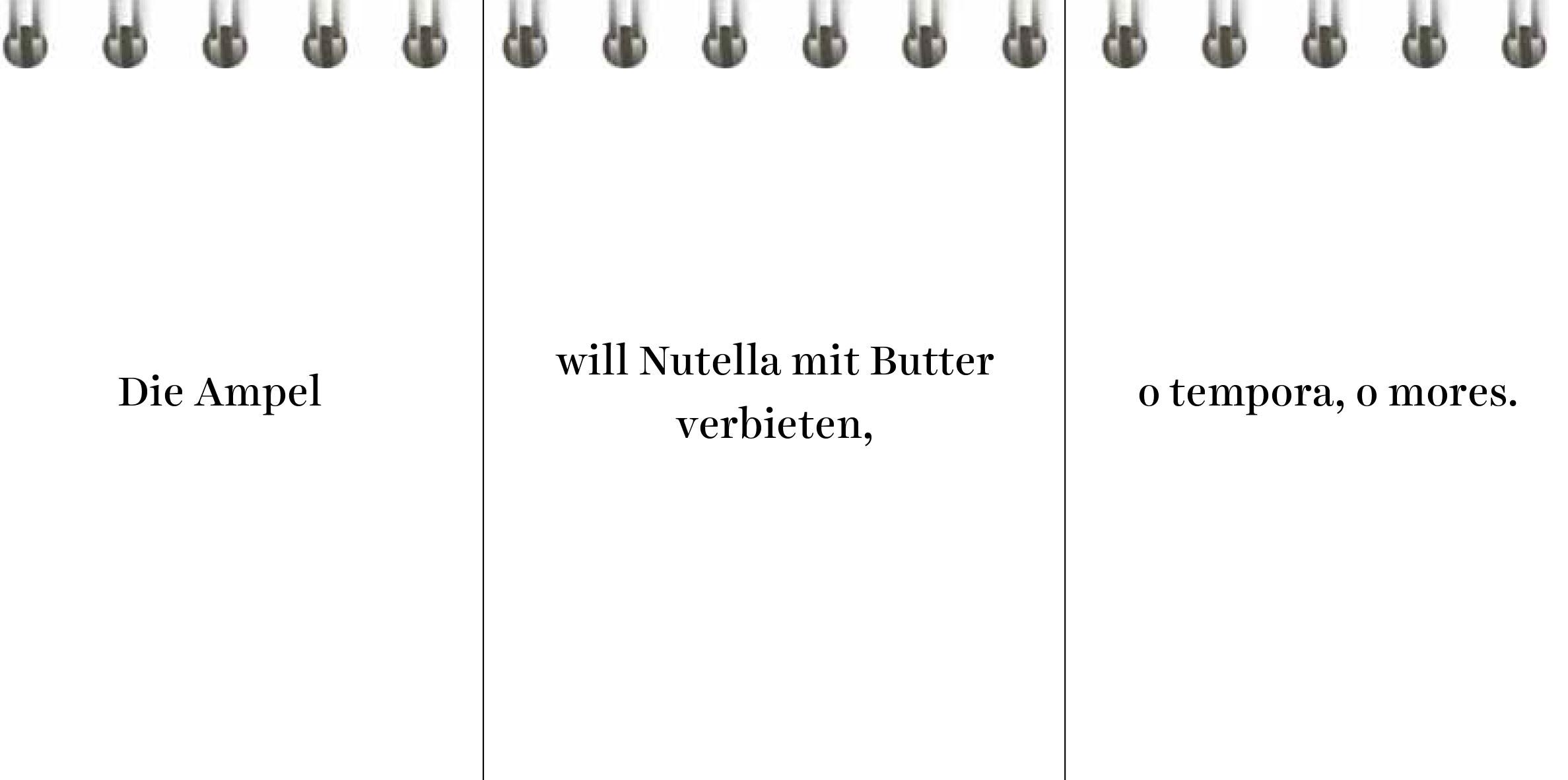 Beispielinhalt (Bild) Der Desinformator