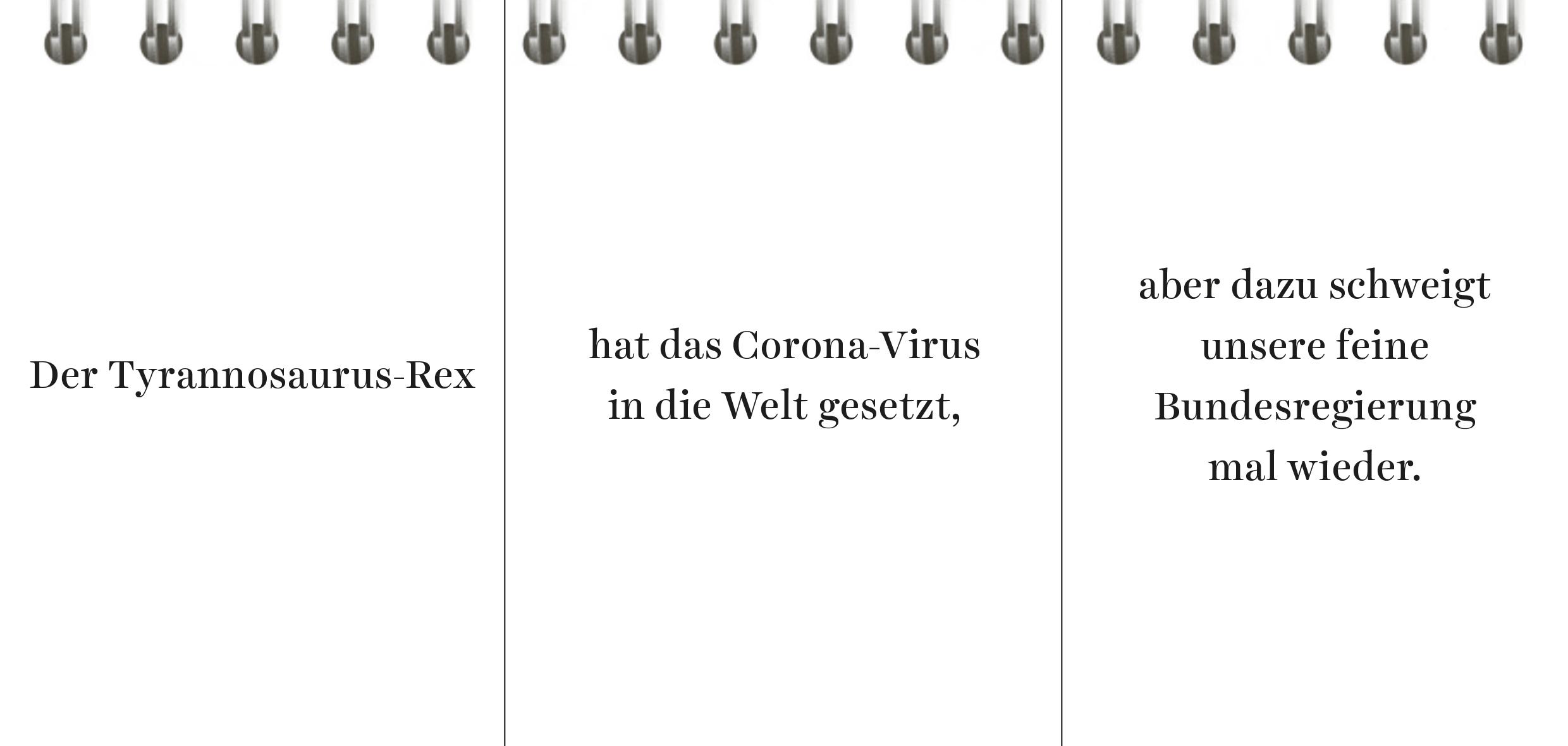 Beispielinhalt (Bild) Der Desinformator