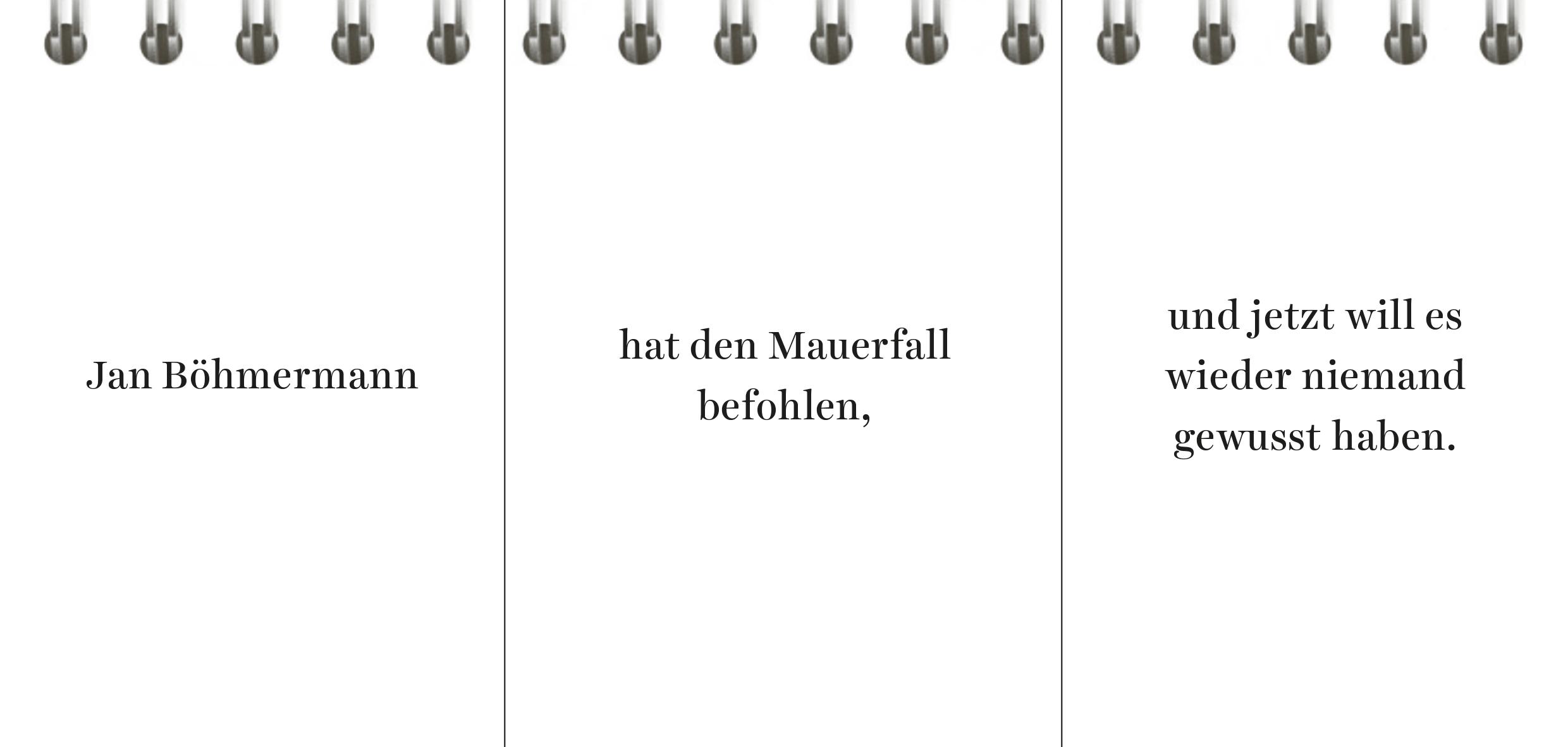 Beispielinhalt (Bild) Der Desinformator