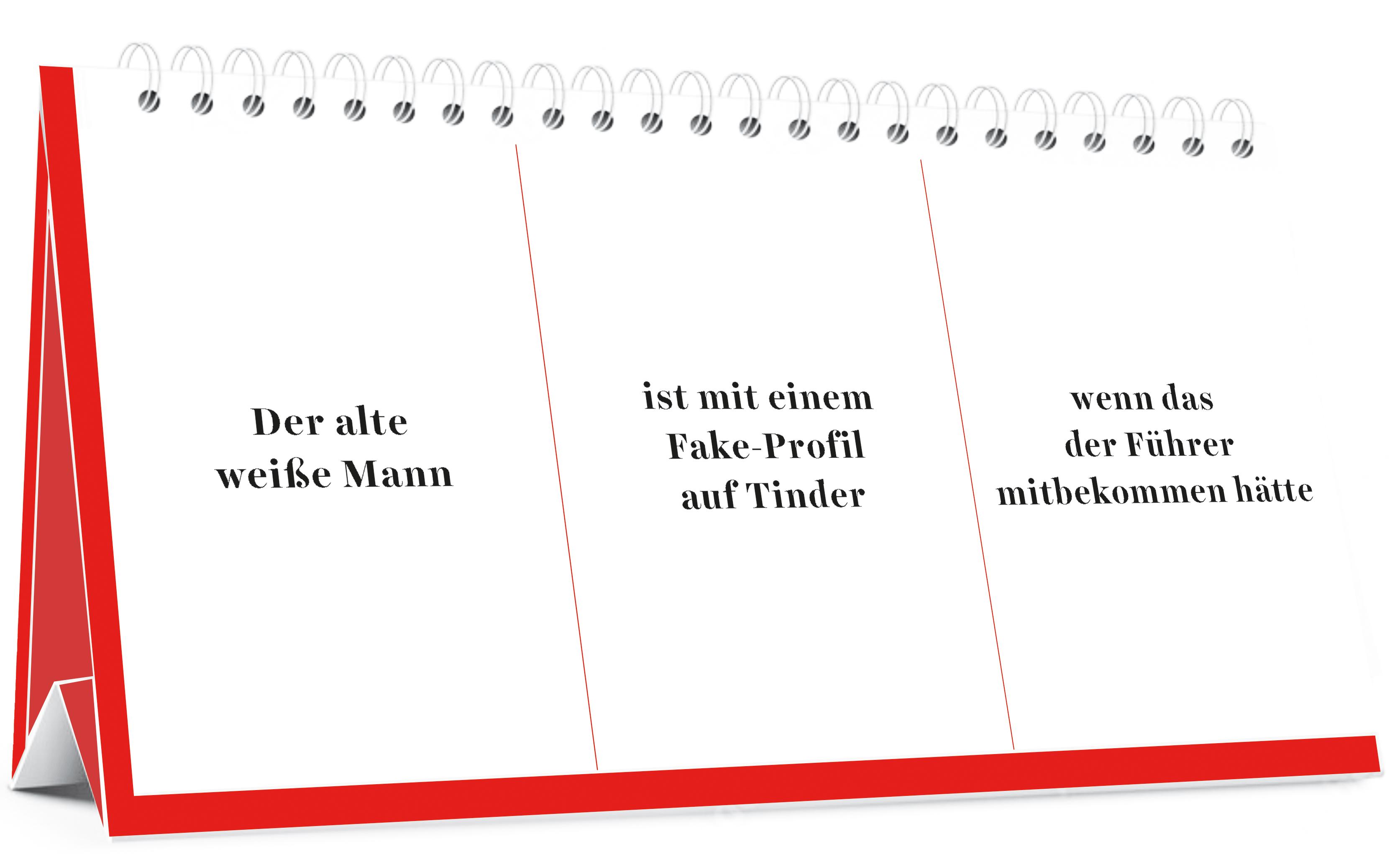 Beispielinhalt (Bild) Der Desinformator