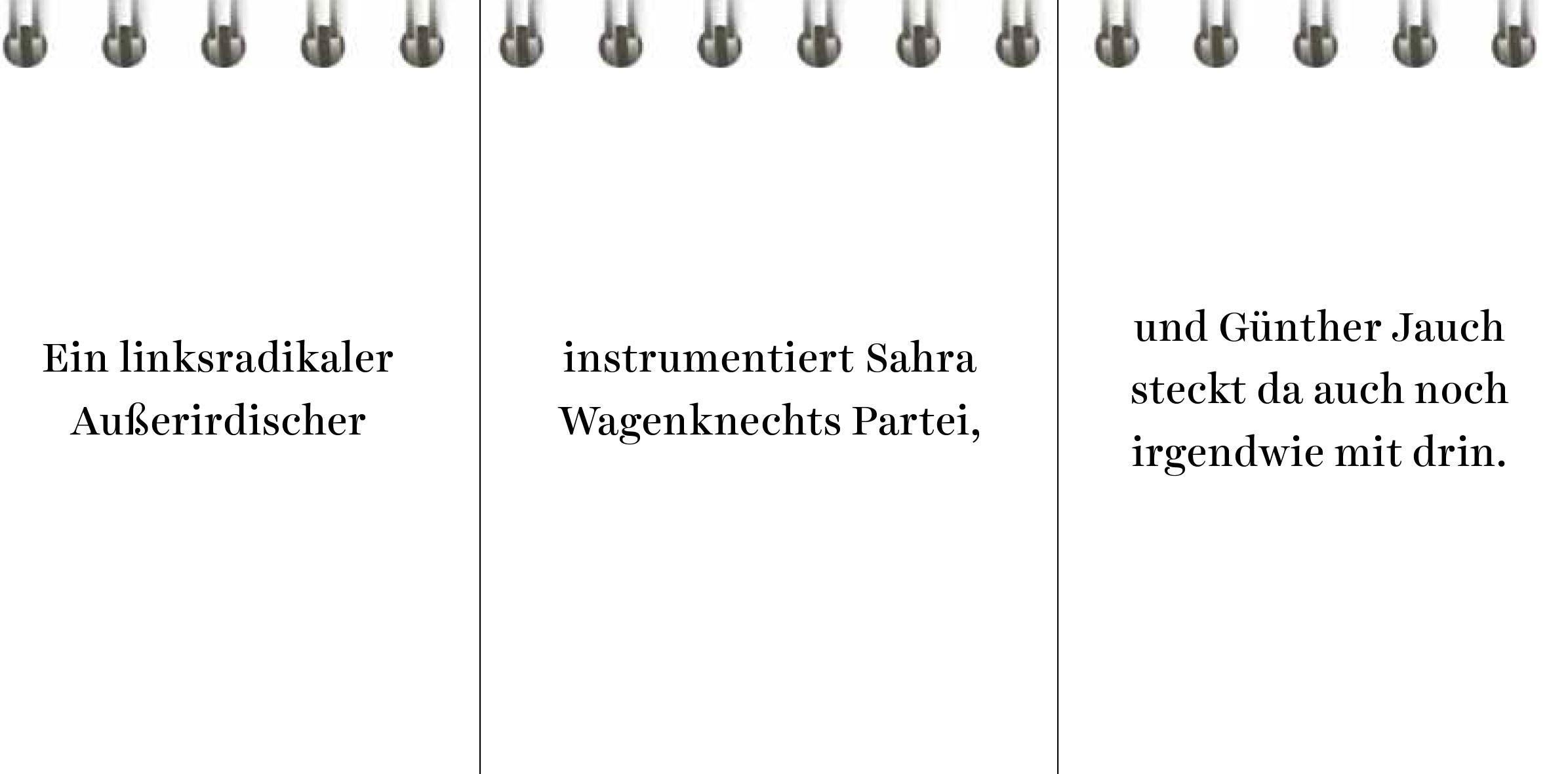 Beispielinhalt (Bild) Der Desinformator