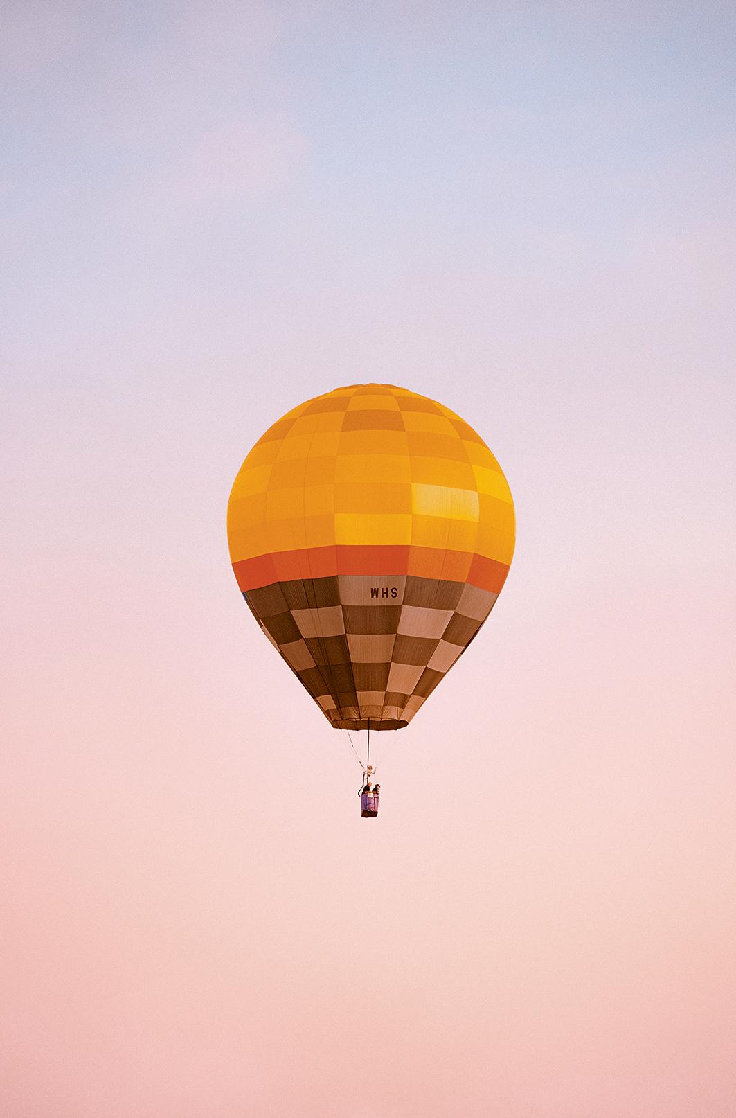 Beispielinhalt (Bild) Accidentally Wes Anderson