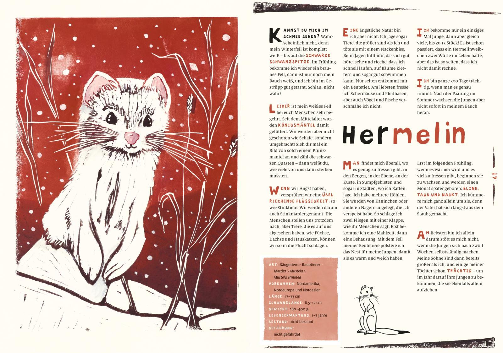 Beispielinhalt (Bild) Unser wildes Zuhause