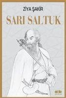 Vorderes Coverbild Sari Saltuk