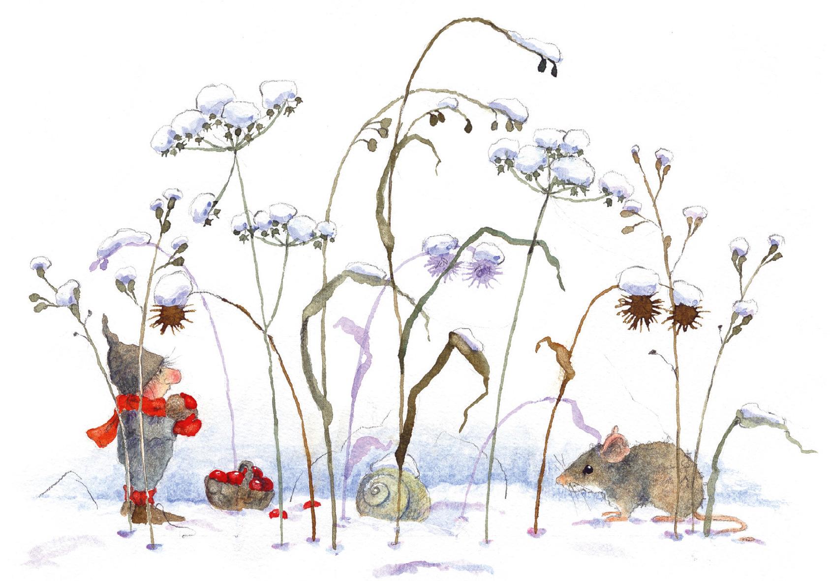 Beispielinhalt (Bild) Postkartenbuch 'Wichtelpost'