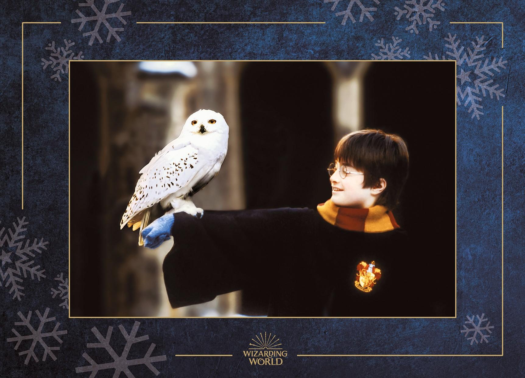 Beispielinhalt (Bild) Aus den Filmen zu Harry Potter: Hedwig - ein magischer Pop-up Adventskalender