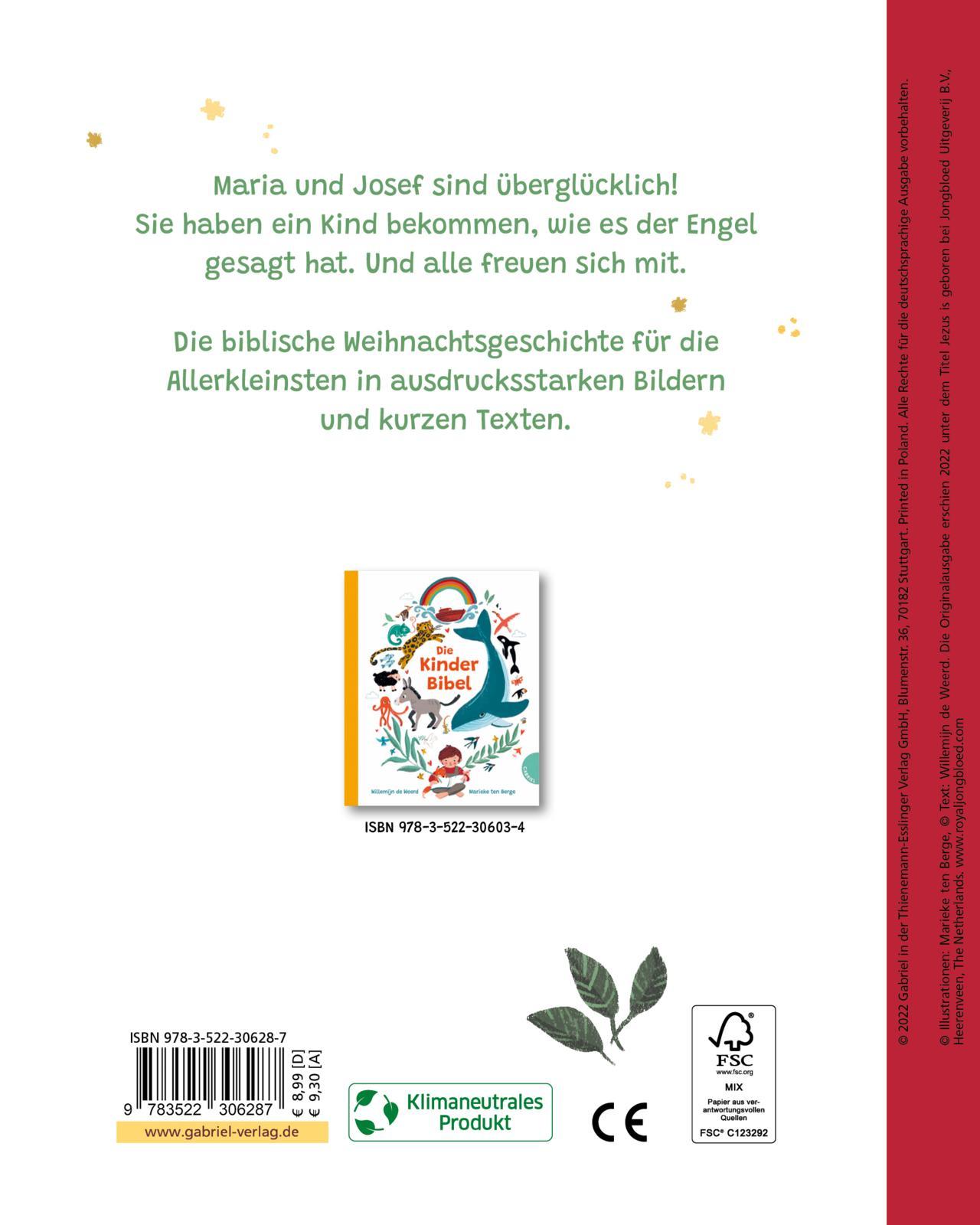 Rückseitencover Wie es Weihnachten wurde