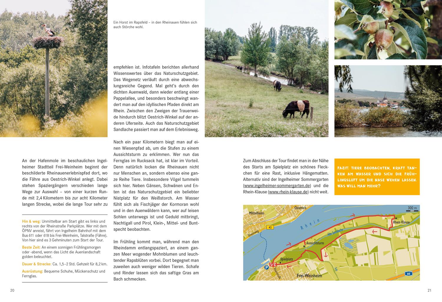 Beispielinhalt (Bild) 52 kleine & große Eskapaden in Rheinhessen