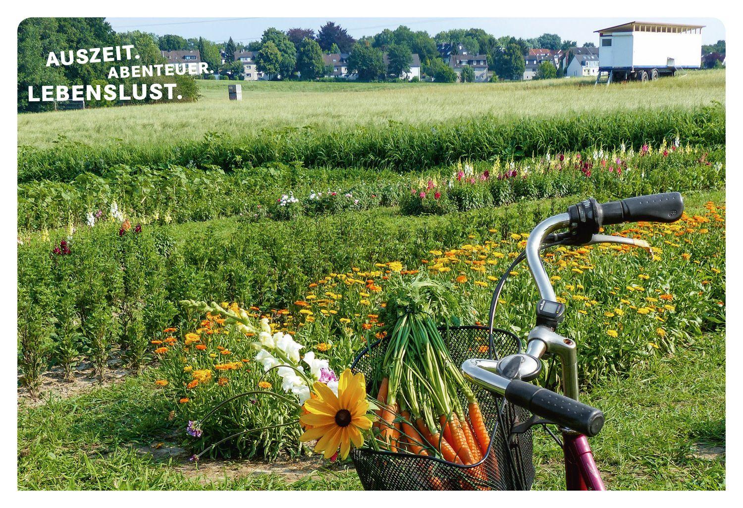 Beispielinhalt (Bild) 52 kleine & große Feierabend-Eskapaden Ruhrstädte