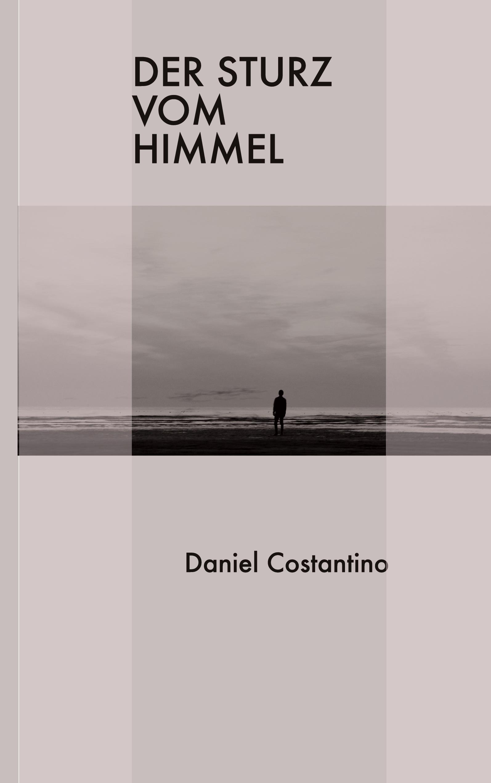 Vorderes Coverbild Der Sturz vom Himmel