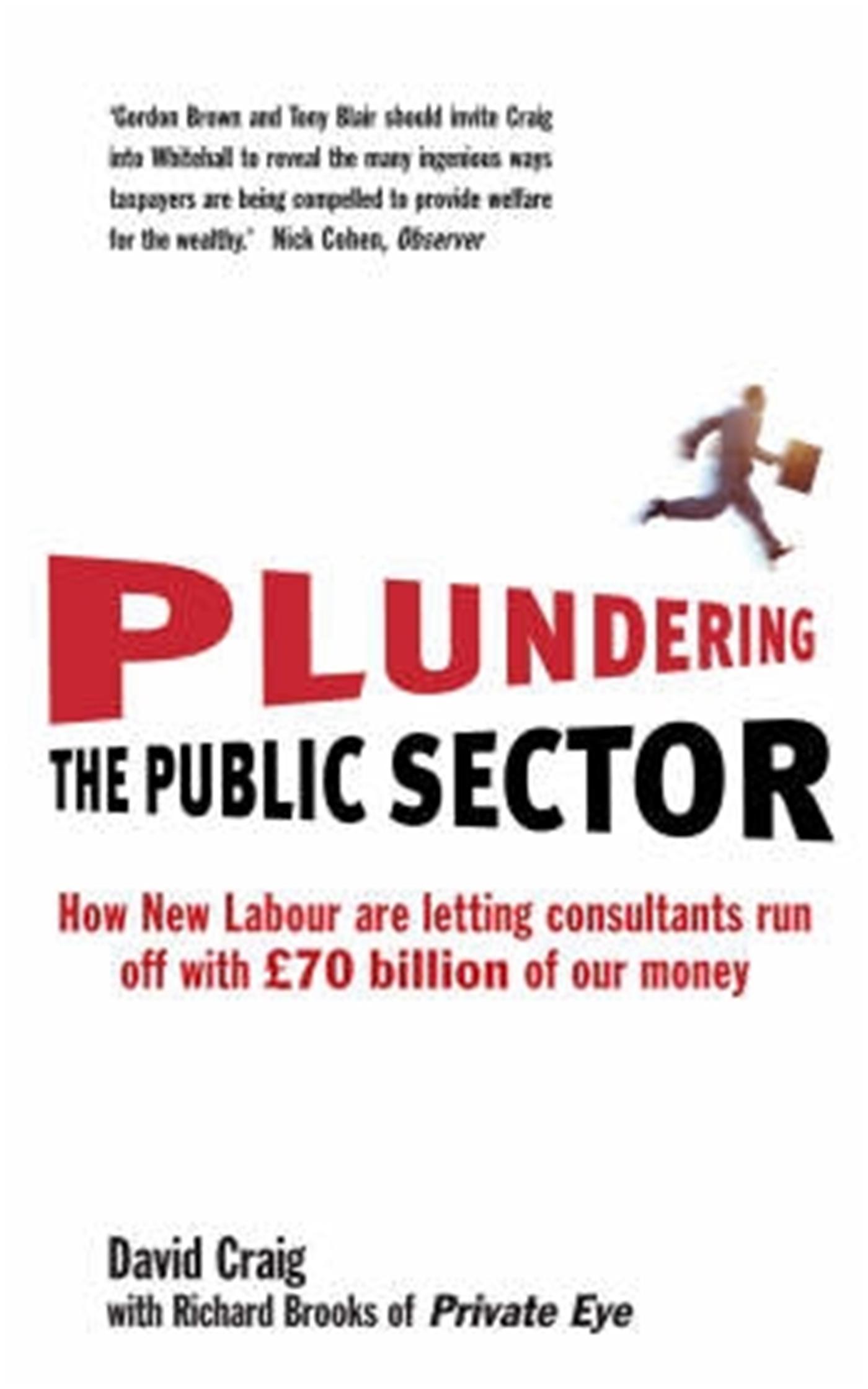 Vorderes Coverbild Plundering the Public Sector