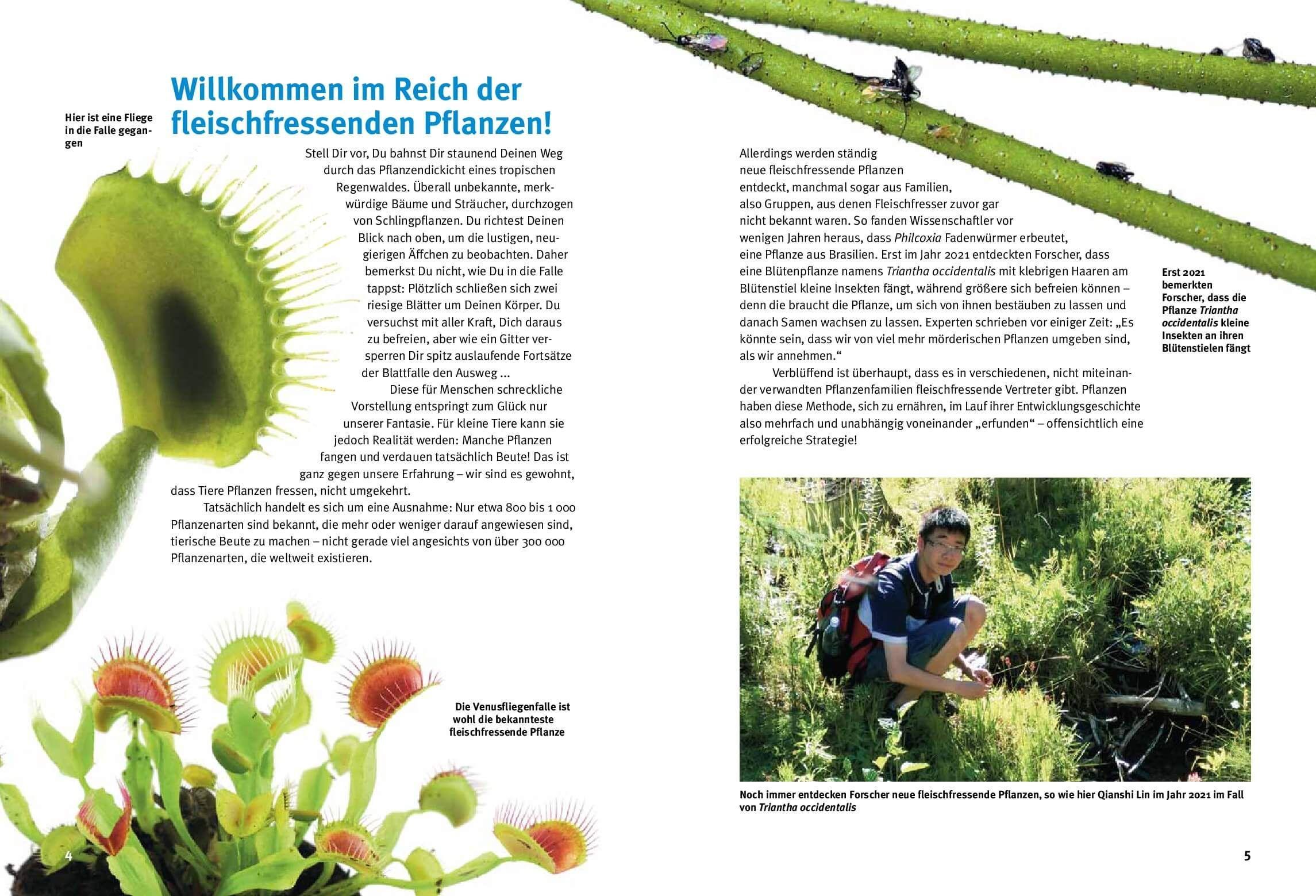 Beispielinhalt (Bild) Entdecke fleischfressende Pflanzen