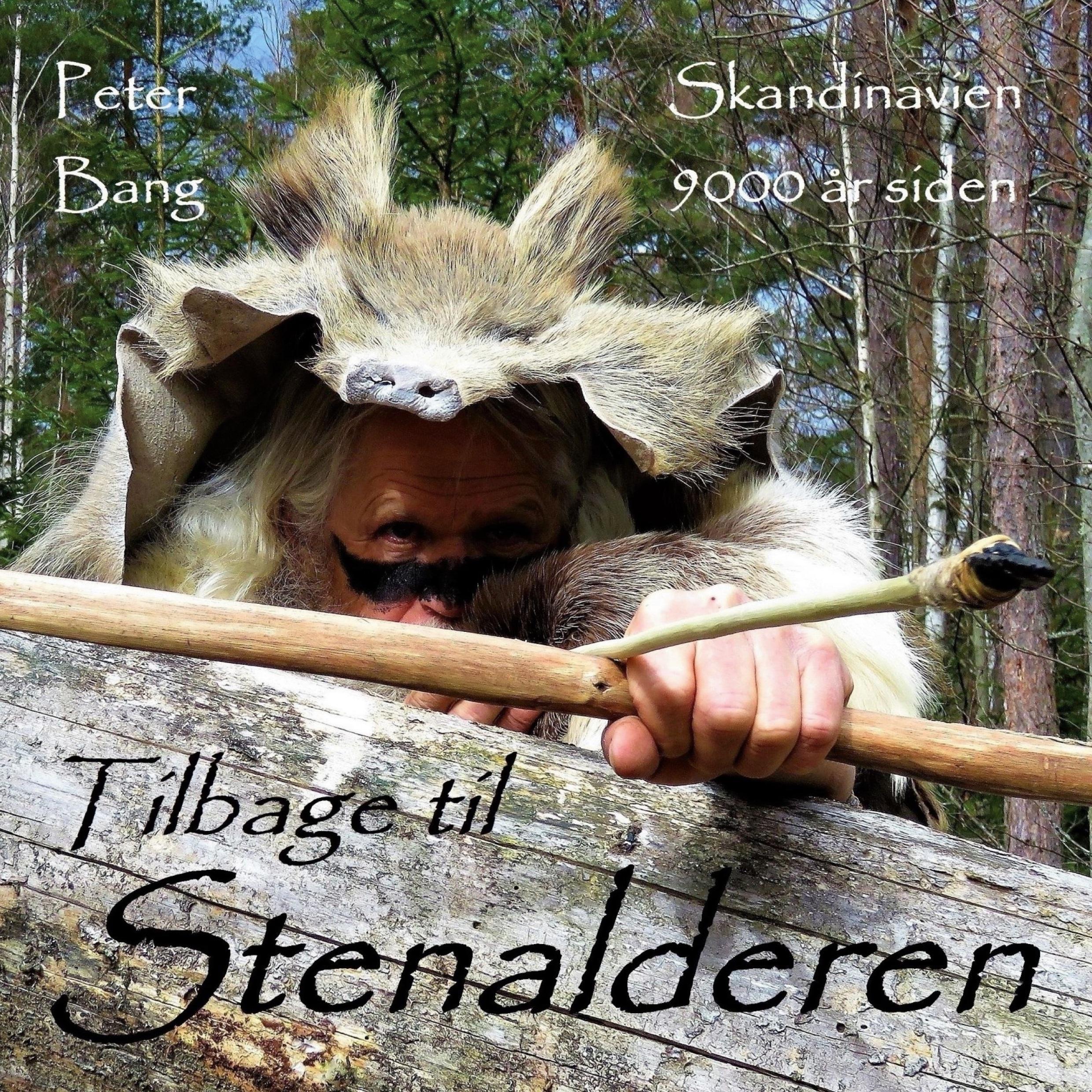Vorderes Coverbild Tilbage til Stenalderen