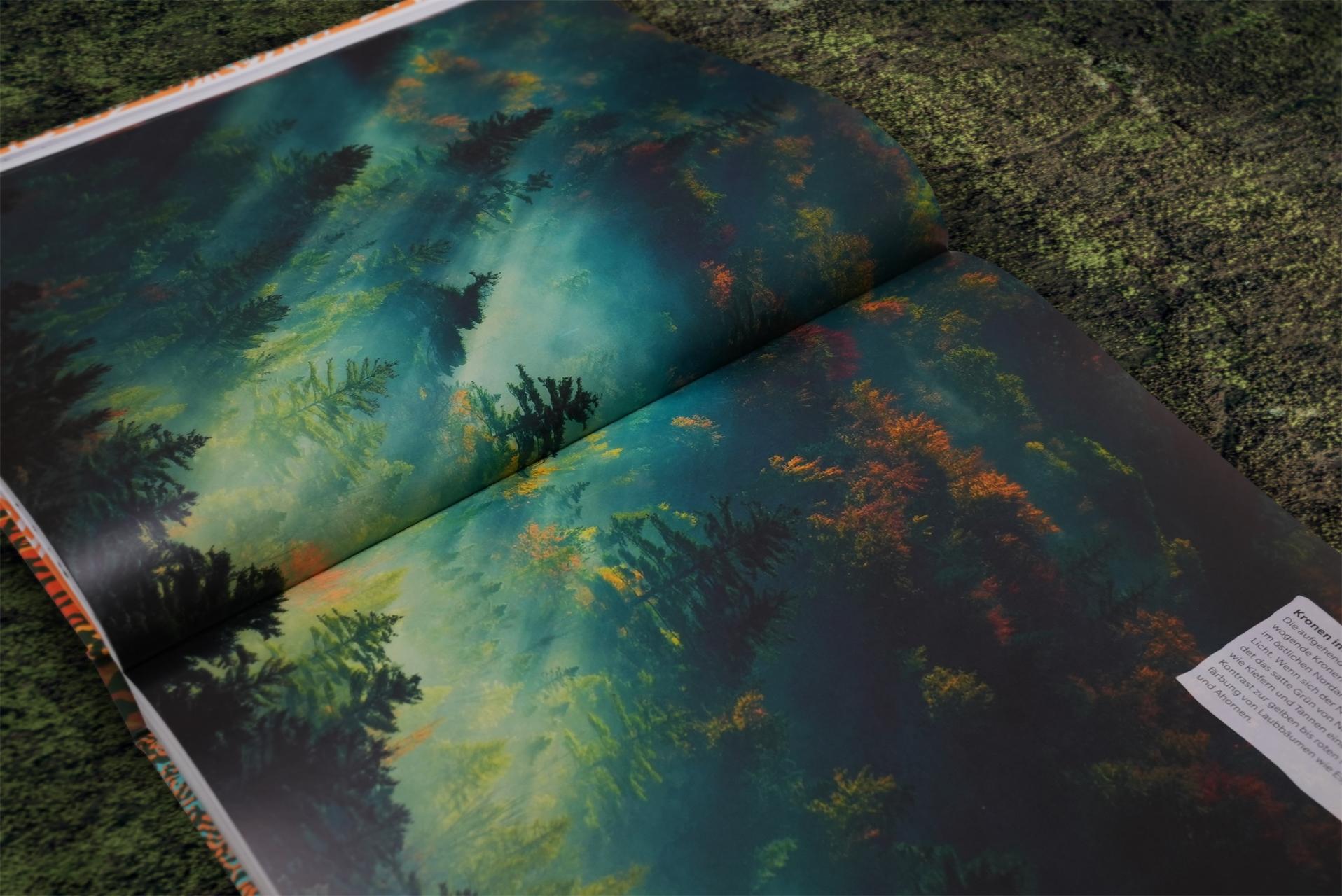 Beispielinhalt (Bild) Bäume - Eine Natur- und Kulturgeschichte