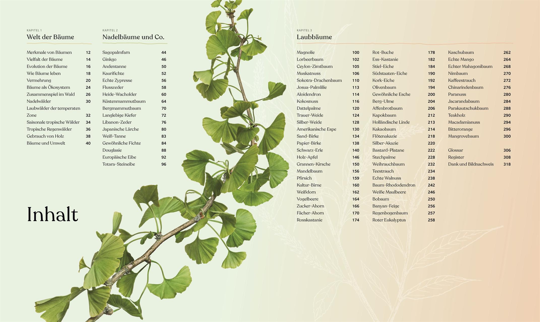 Beispielinhalt (Bild) Bäume - Eine Natur- und Kulturgeschichte