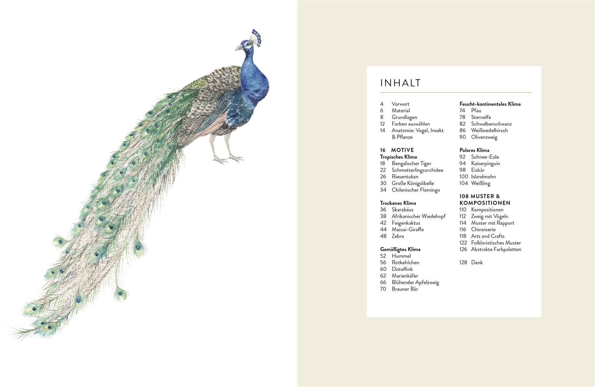 Beispielinhalt (Bild) Tiere und Pflanzen malen mit Watercolor