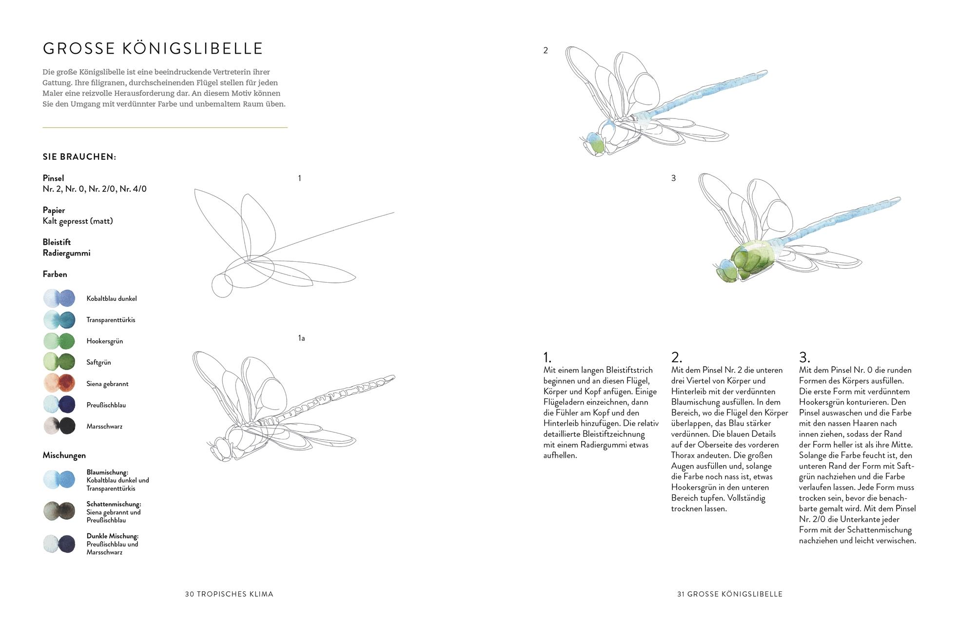 Beispielinhalt (Bild) Tiere und Pflanzen malen mit Watercolor