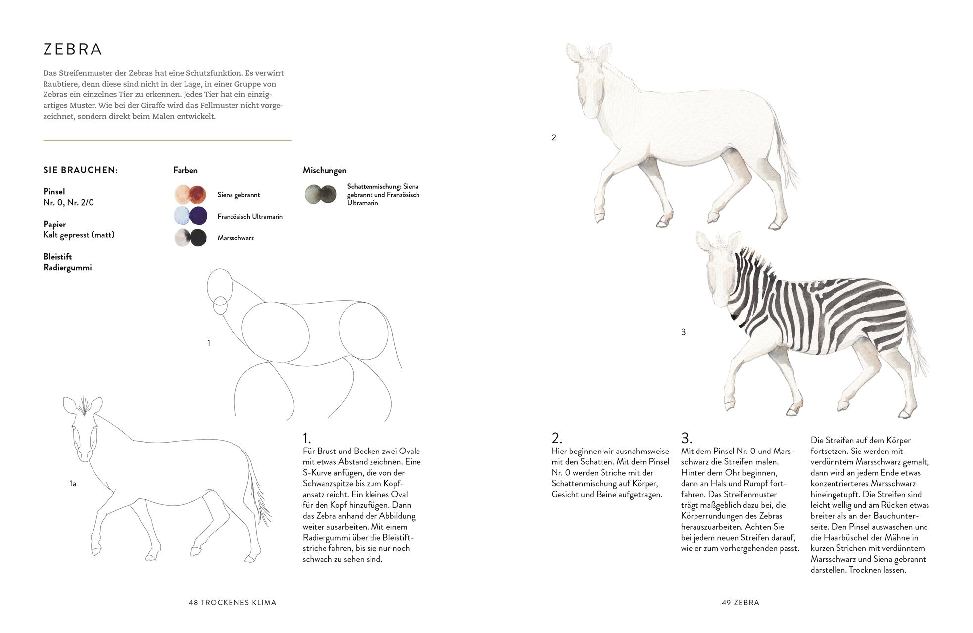 Beispielinhalt (Bild) Tiere und Pflanzen malen mit Watercolor