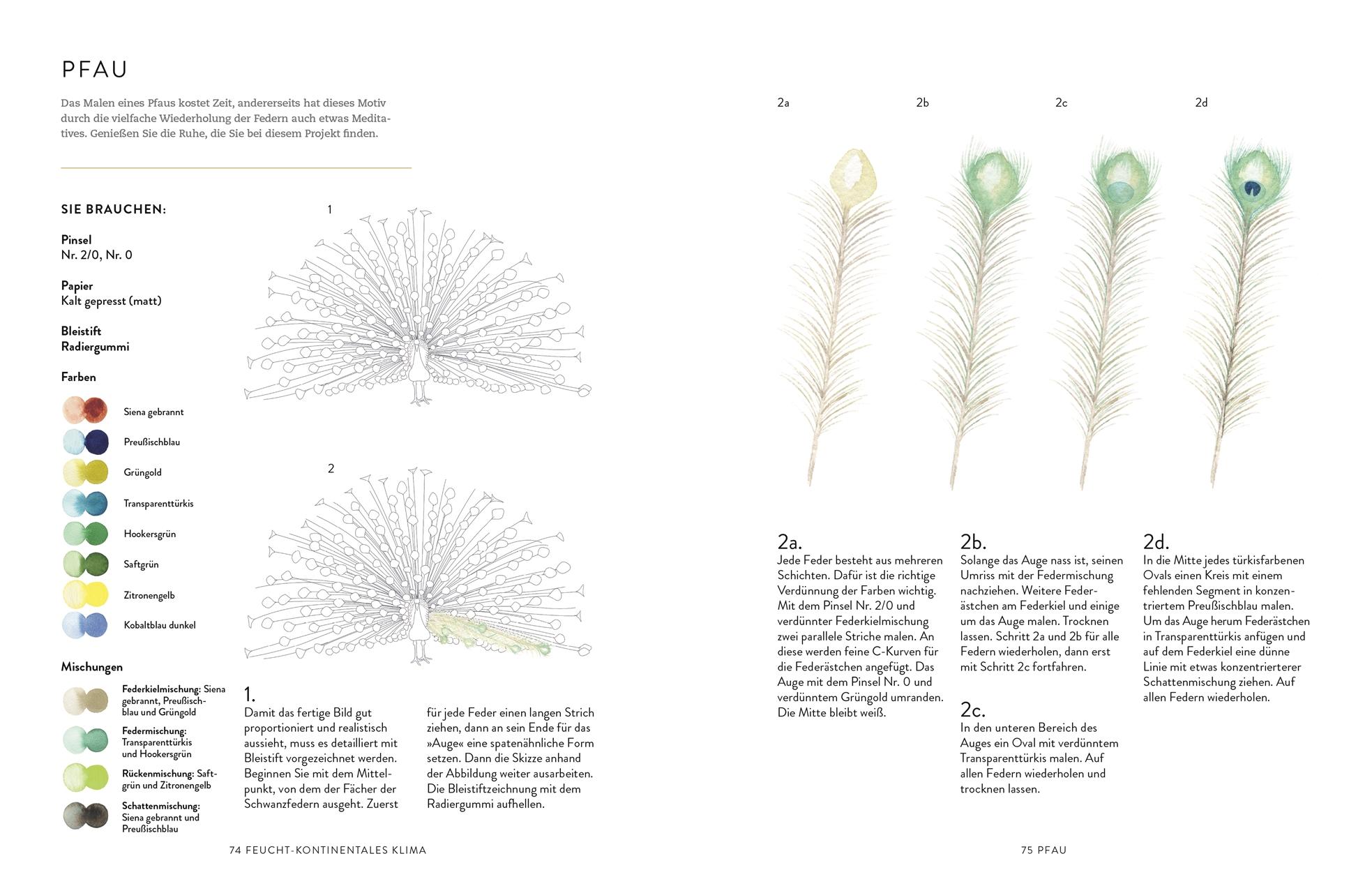 Beispielinhalt (Bild) Tiere und Pflanzen malen mit Watercolor
