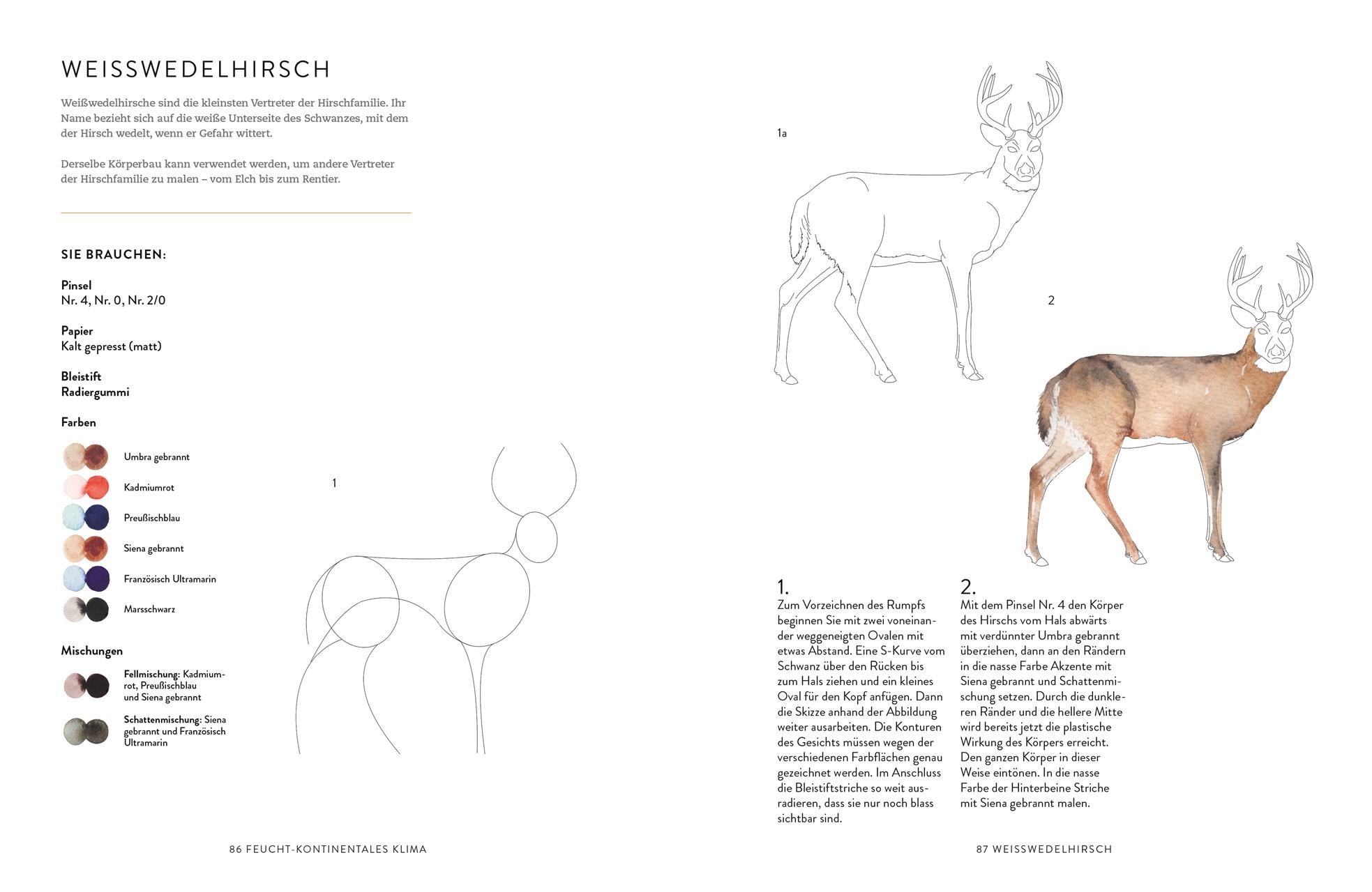 Beispielinhalt (Bild) Tiere und Pflanzen malen mit Watercolor