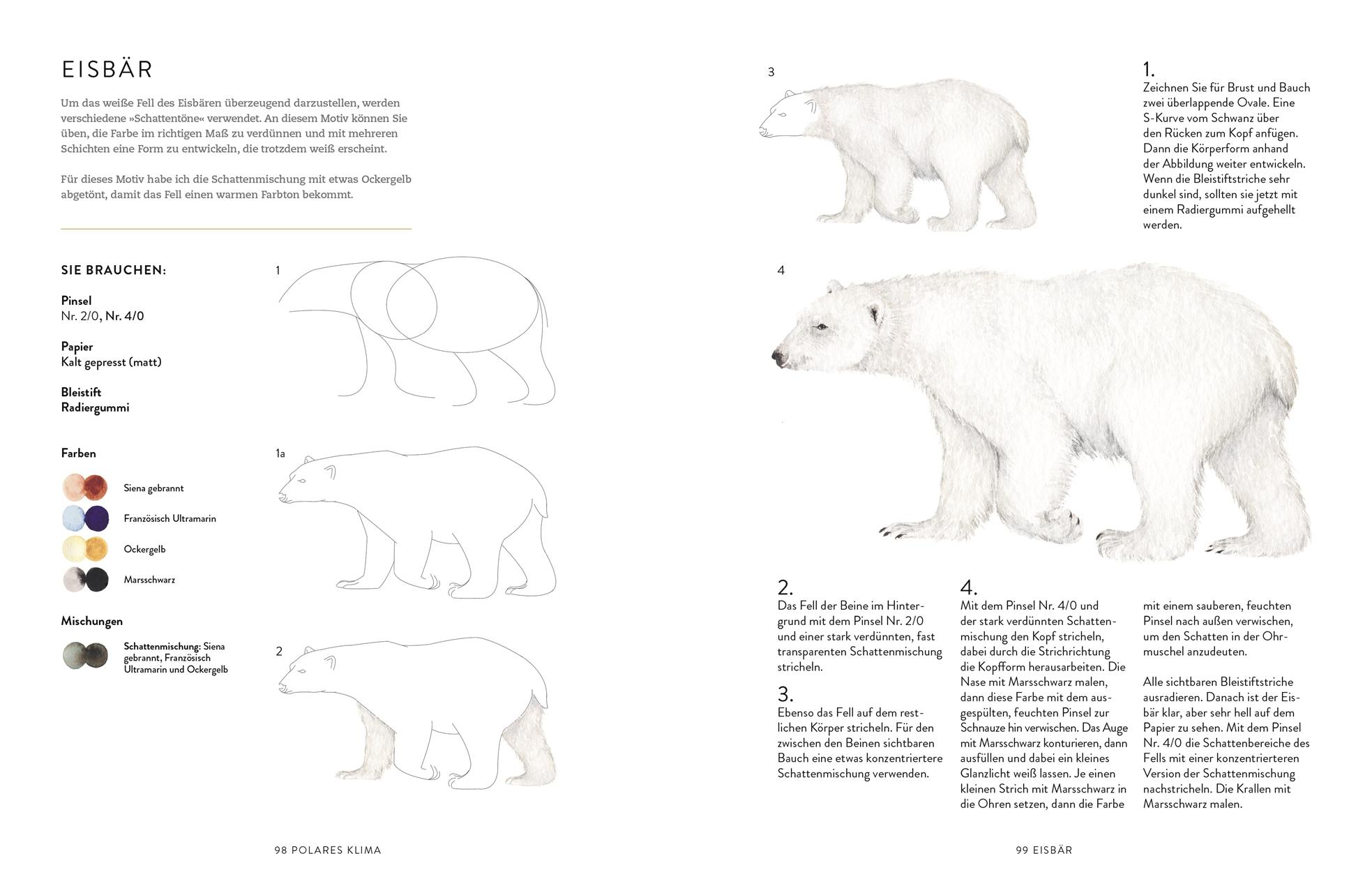 Beispielinhalt (Bild) Tiere und Pflanzen malen mit Watercolor