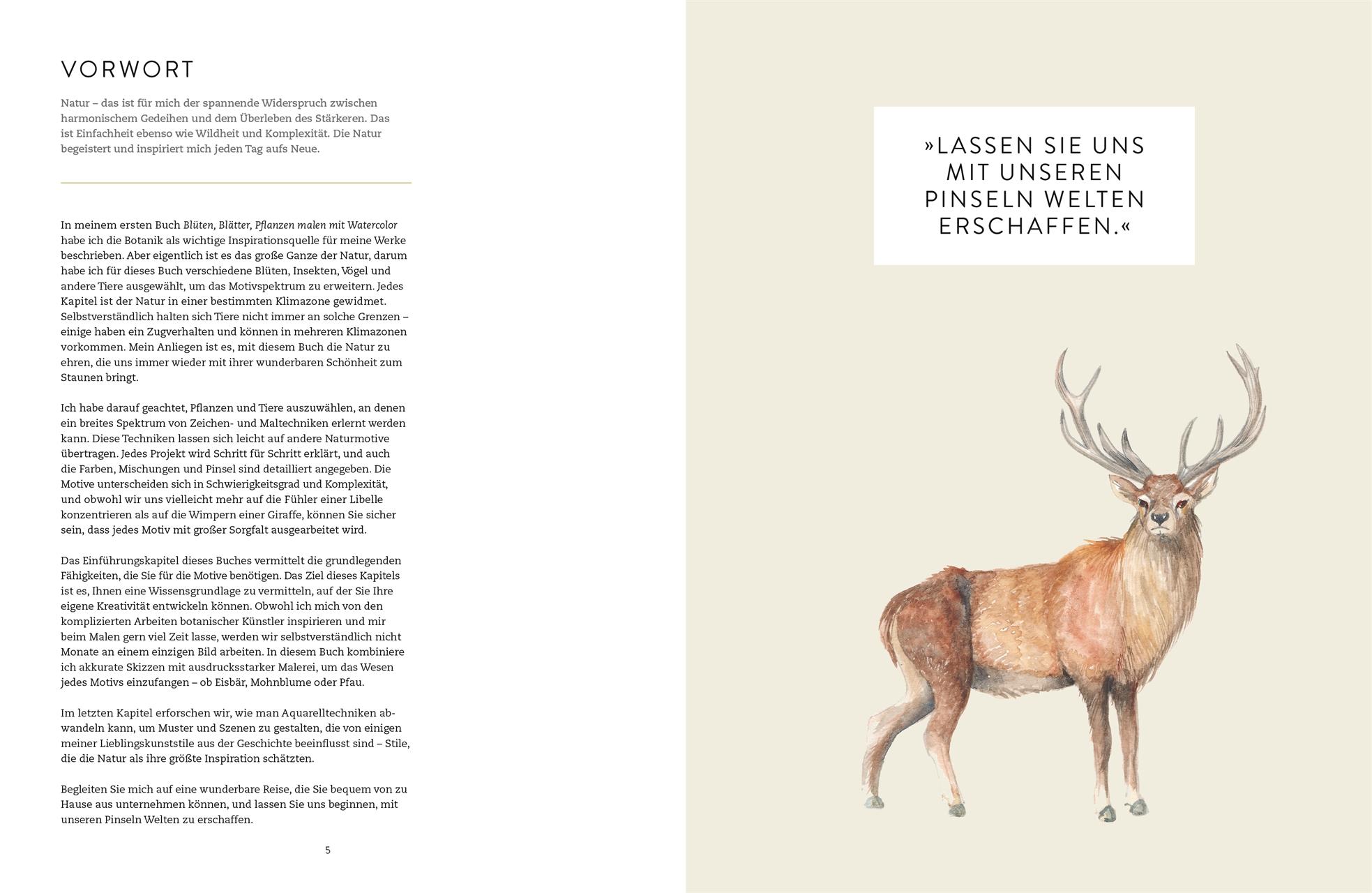 Beispielinhalt (Bild) Tiere und Pflanzen malen mit Watercolor