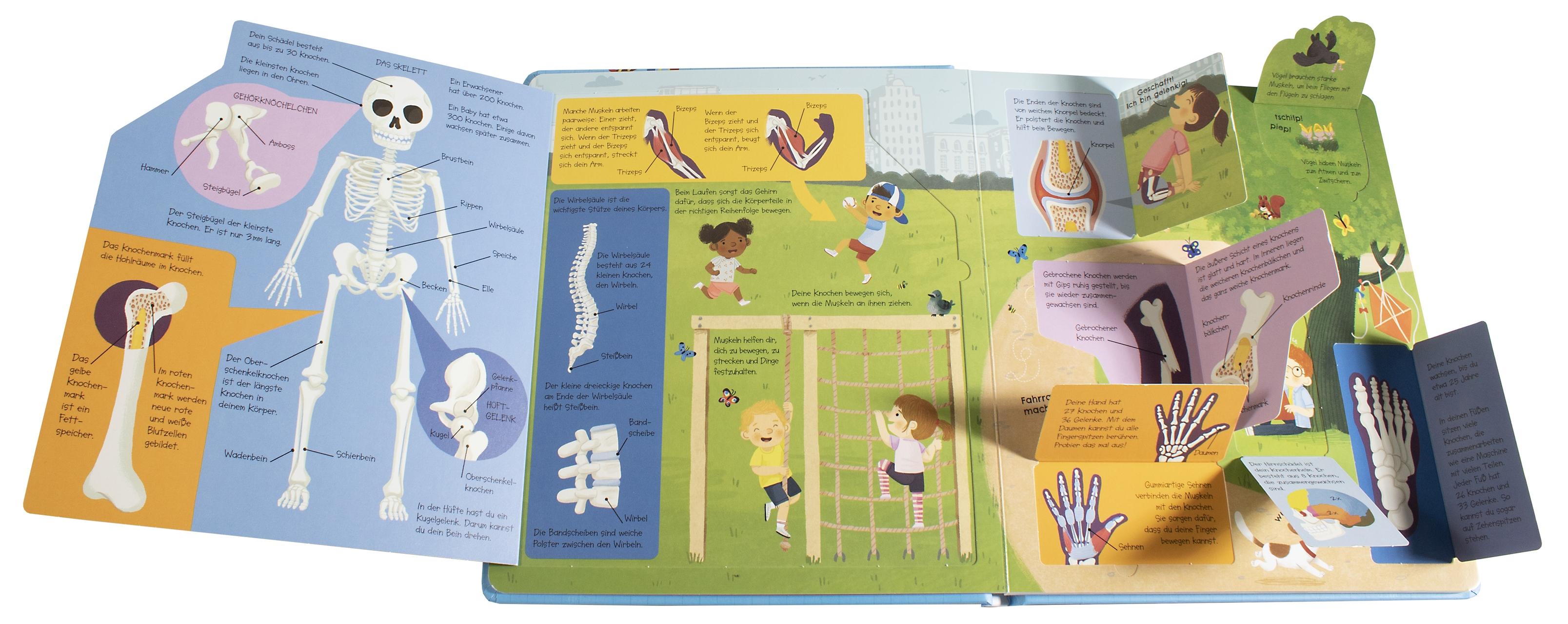 Beispielinhalt (Bild) Aufgeklappt und viel entdeckt! Unser Körper