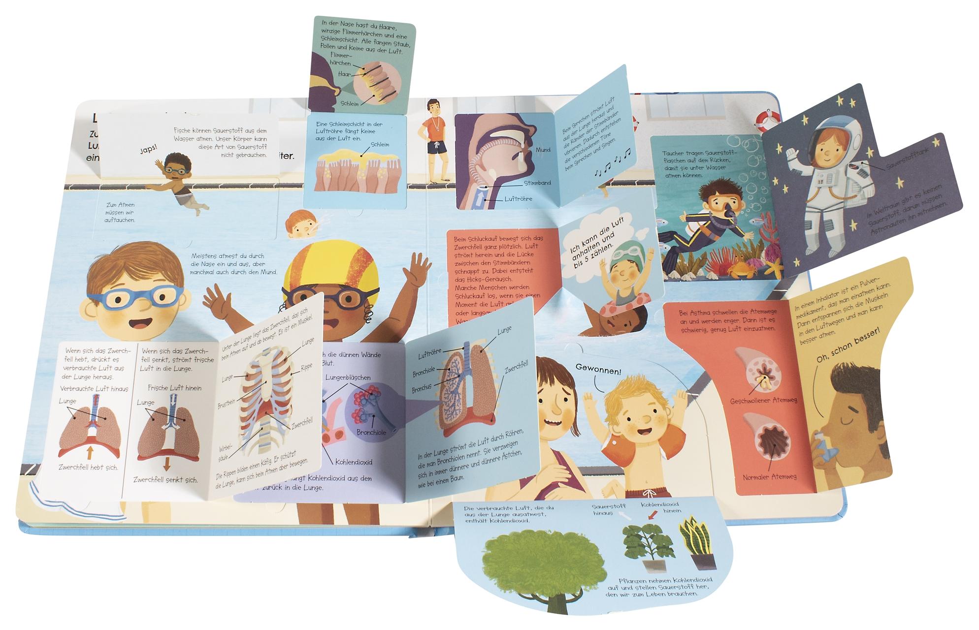 Beispielinhalt (Bild) Aufgeklappt und viel entdeckt! Unser Körper