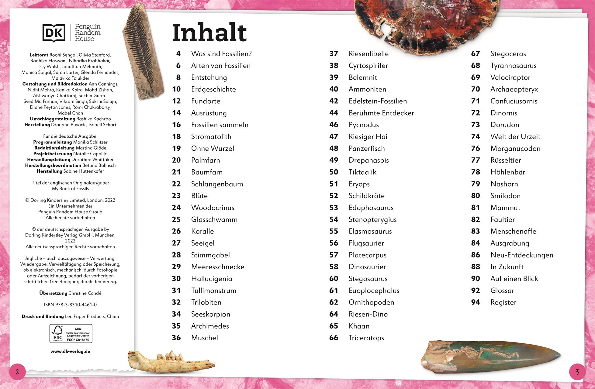Beispielinhalt (Bild) Fossilien