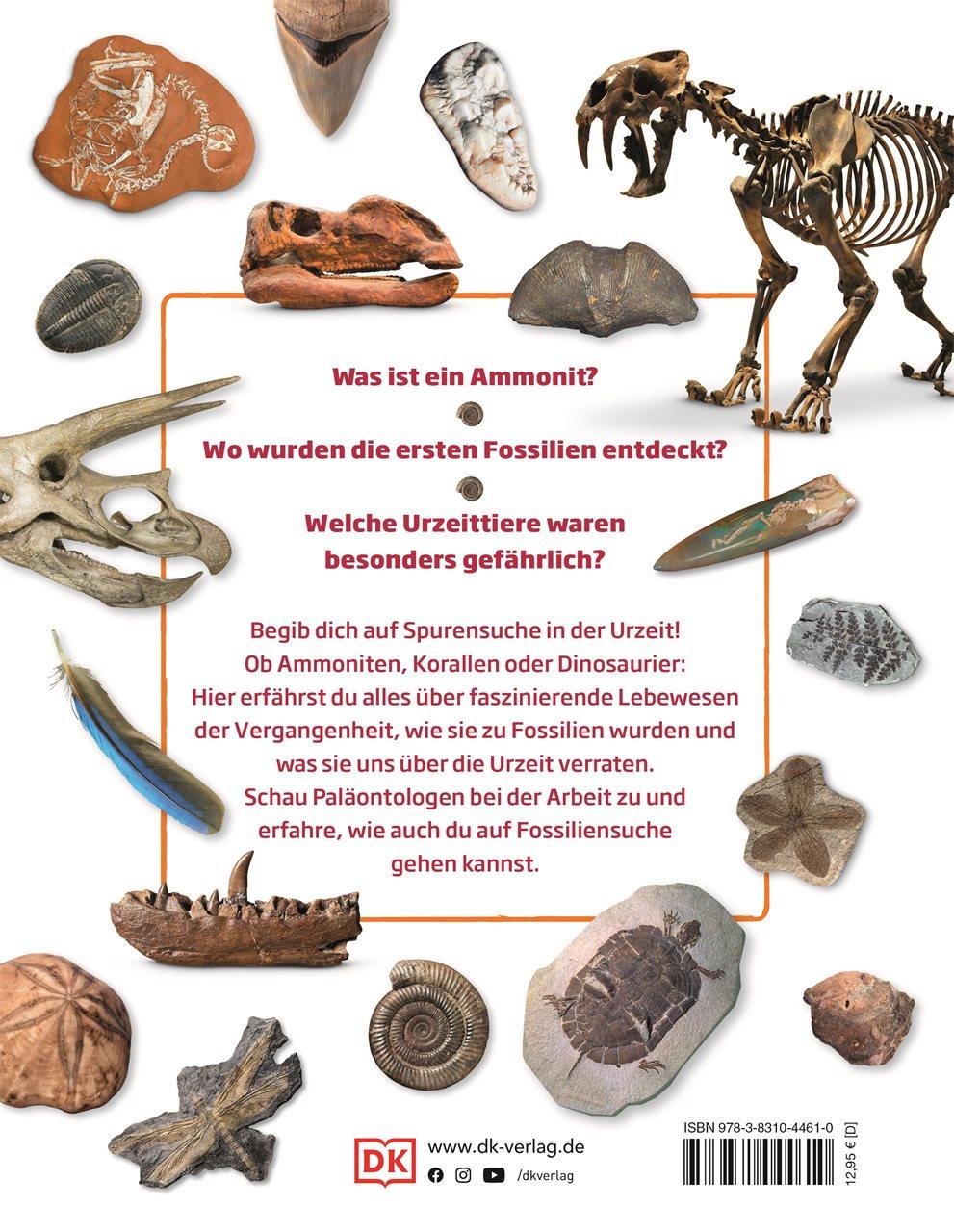 Rückseitencover Fossilien