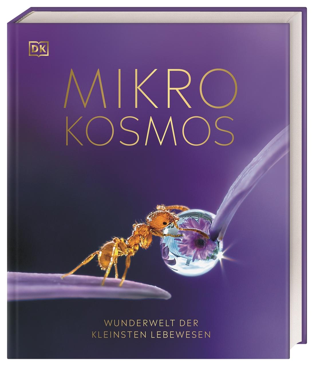 Vorderes Coverbild Mikrokosmos - Wunderwelt der kleinsten Lebewesen